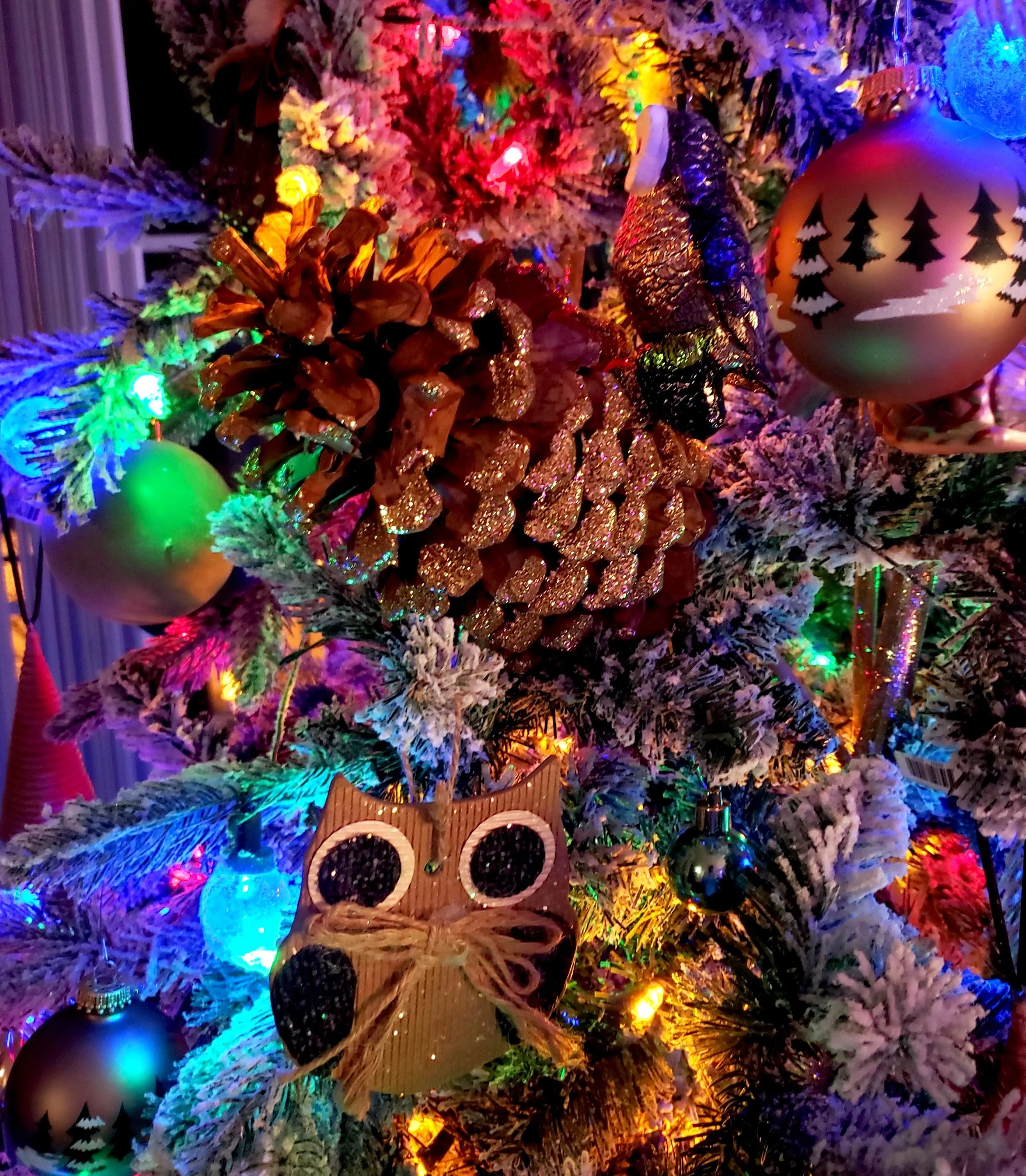 Pine cones and owls