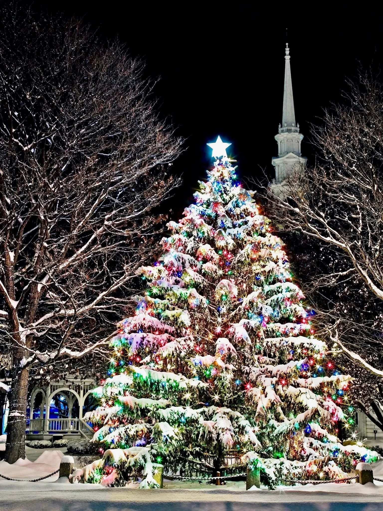 Holiday Christmas Tree, Central Square, Keene, NH - Photographer Unknown