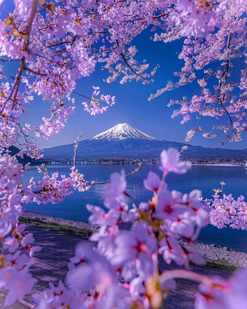 Yamanashi near Mount Fuji by Jan Christopher Beck