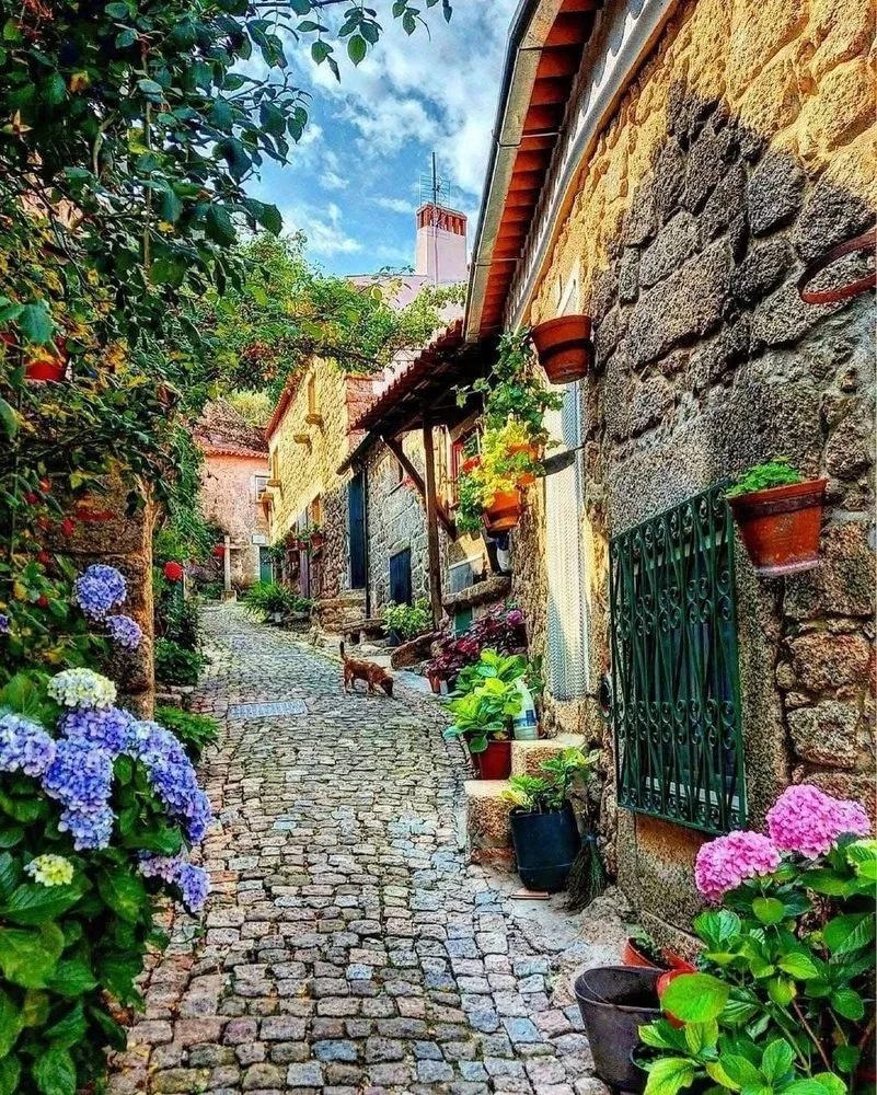 Monsanto, Portugal By Vanessa C.L. Francisco