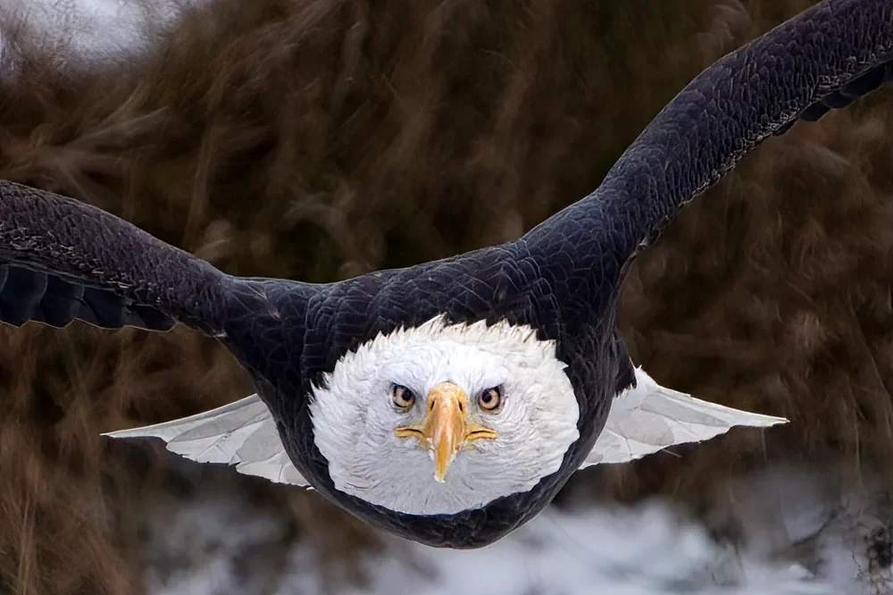 Photo by Connect2Nature