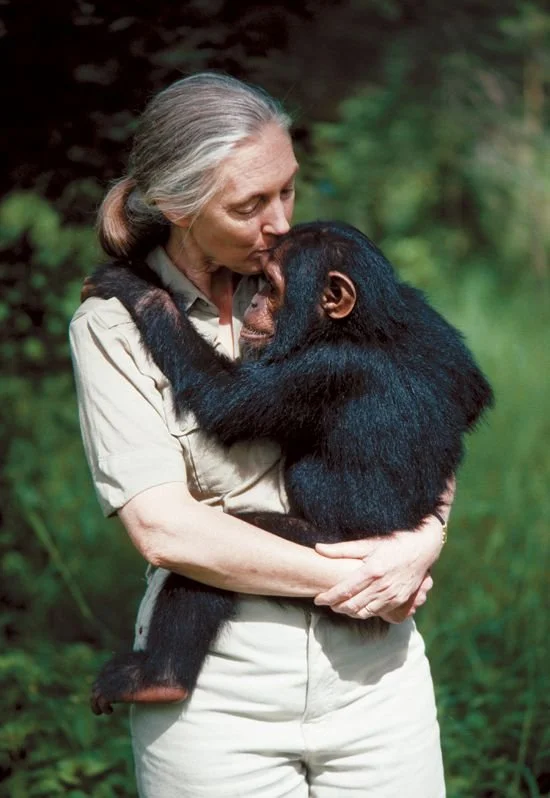 Jane-goodall