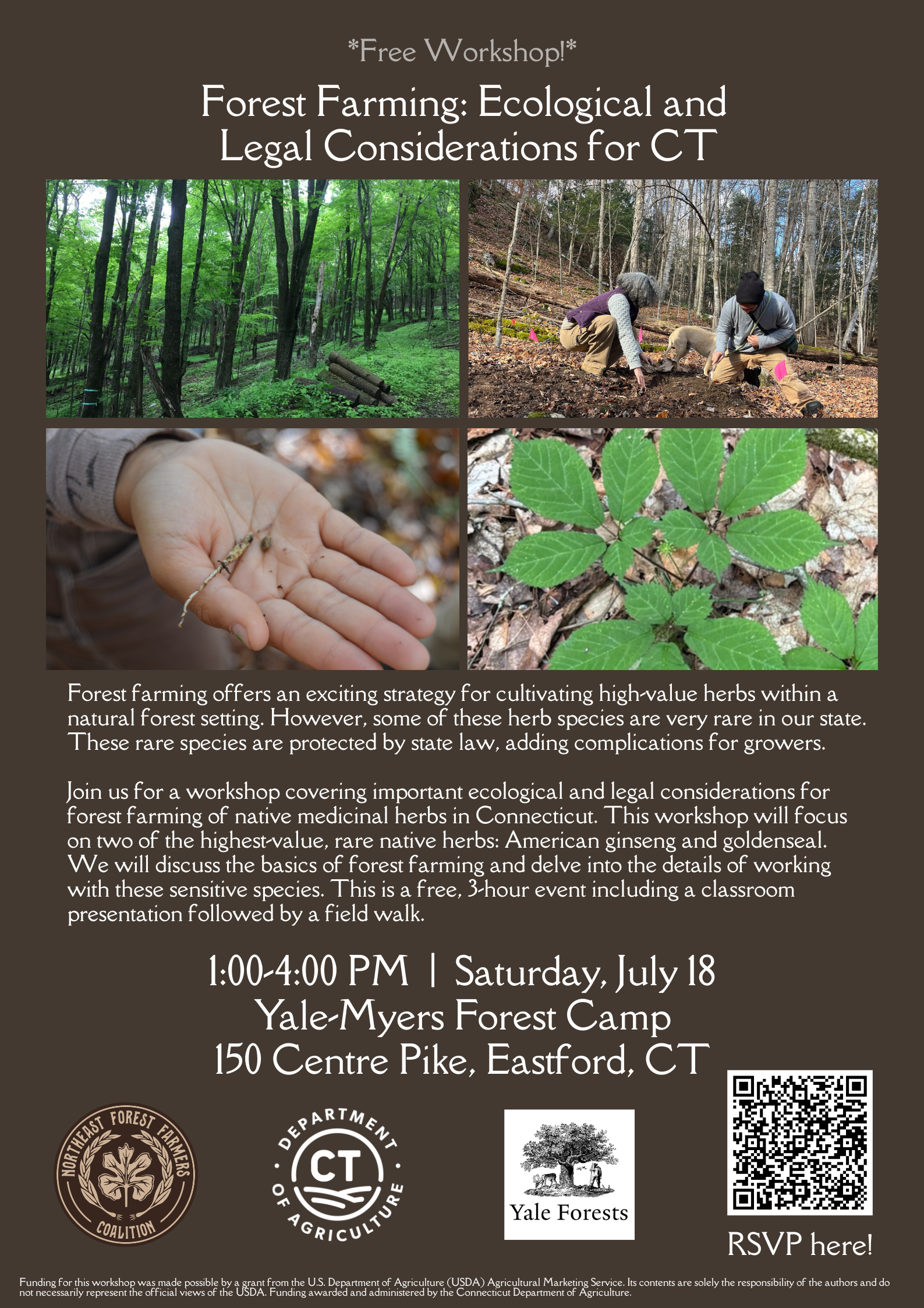 Forest Farming: Ecological and Legal Considerations for Connecticut (2 of 5)