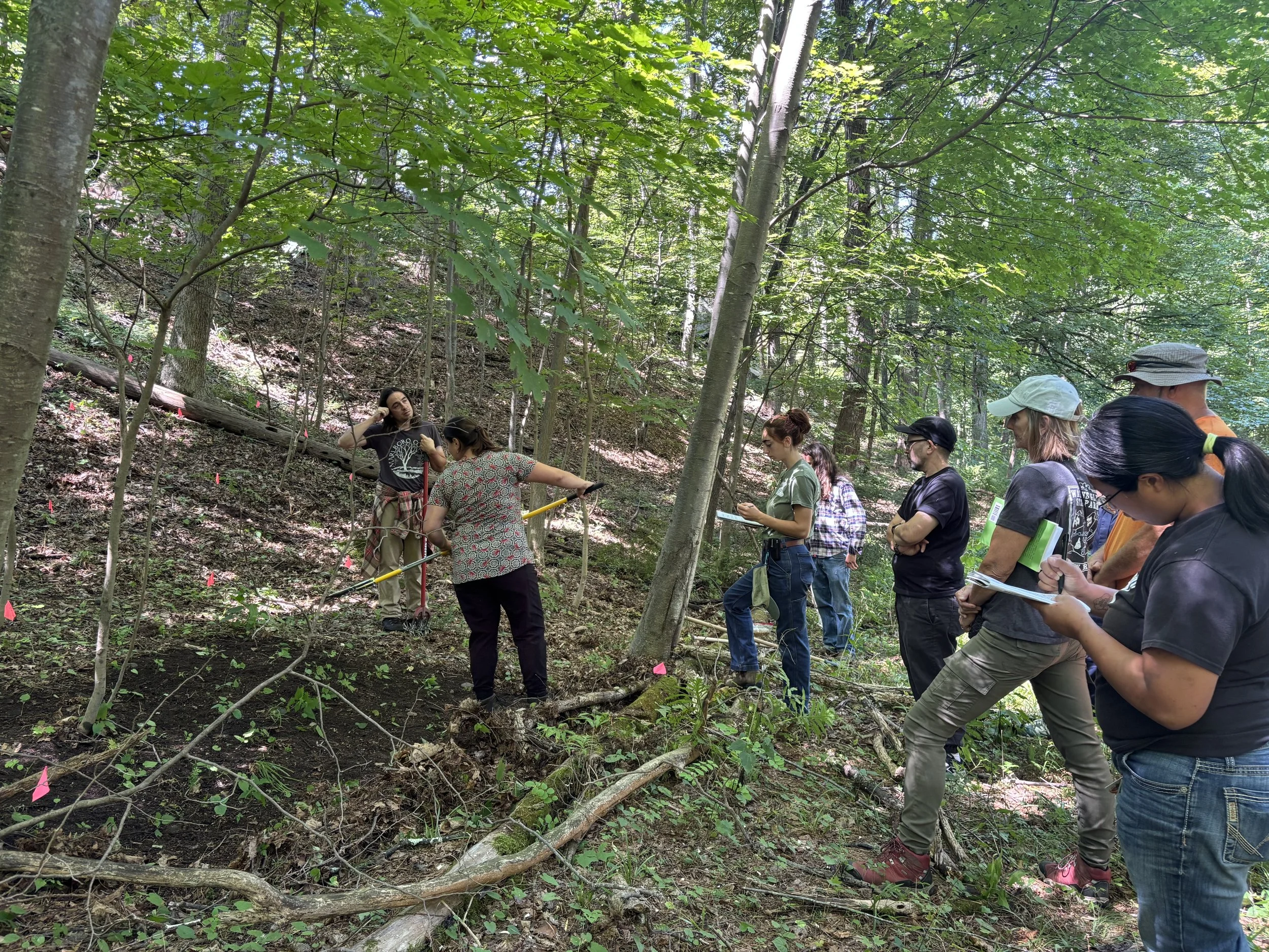 Forest Farming Understory Botanicals: Farm Tour &amp; Planting