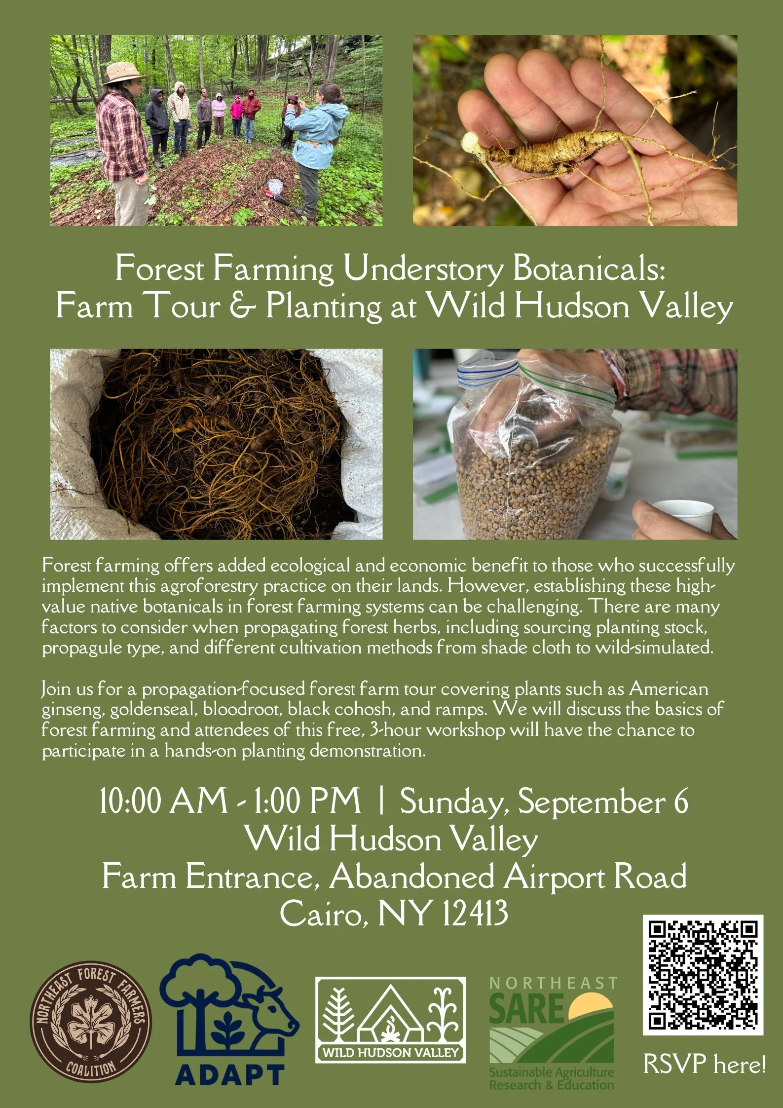 Forest Farming Understory Botanicals: Farm Tour &amp; Planting