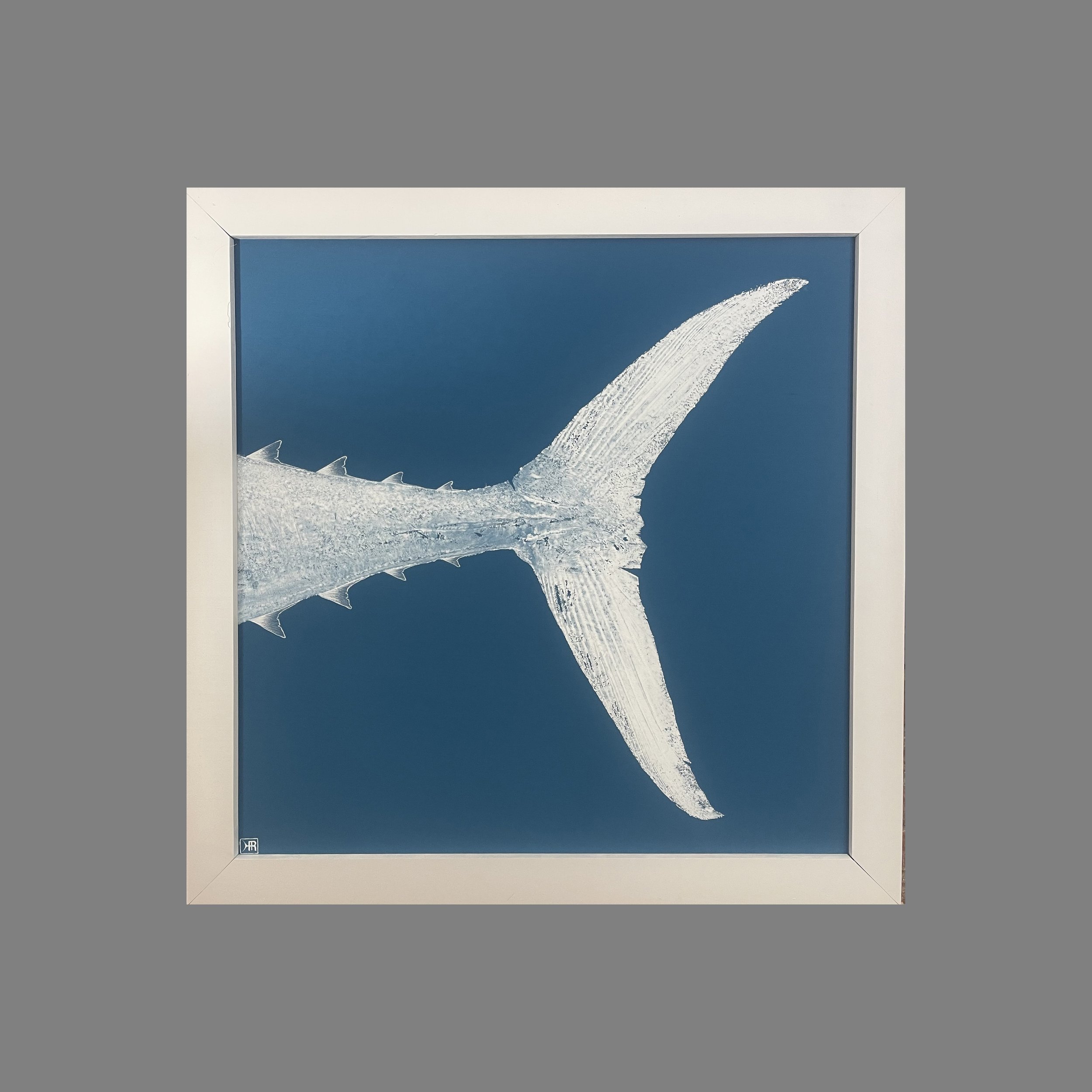 teal tuna tail copy.jpg