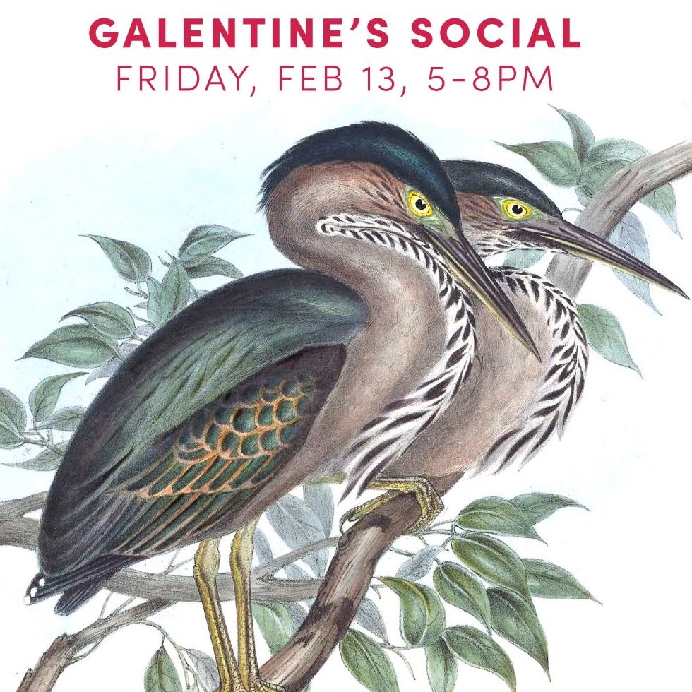 Galentine's Day Social at Lucky Heron