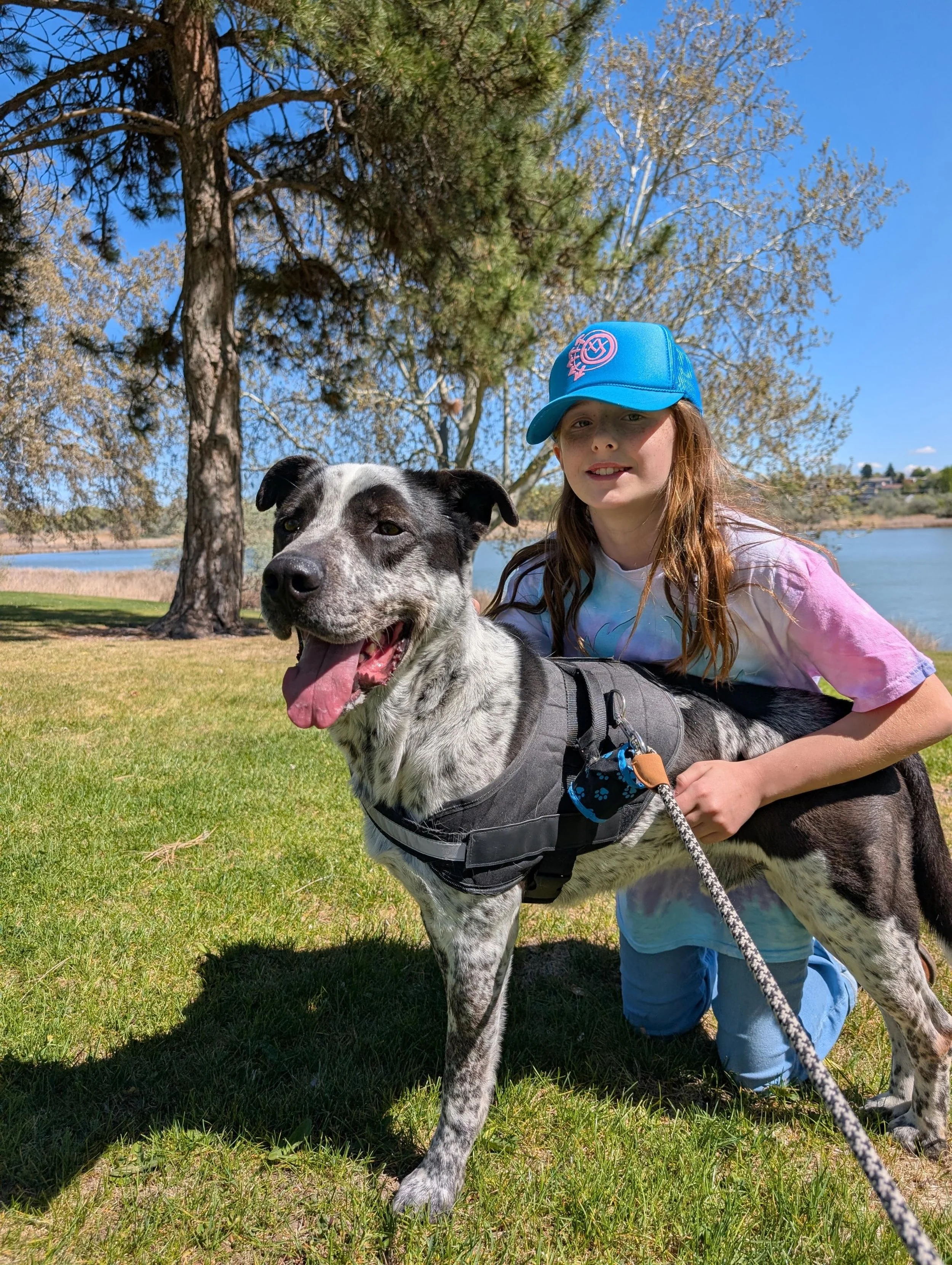 Doggy’s Day Out Program