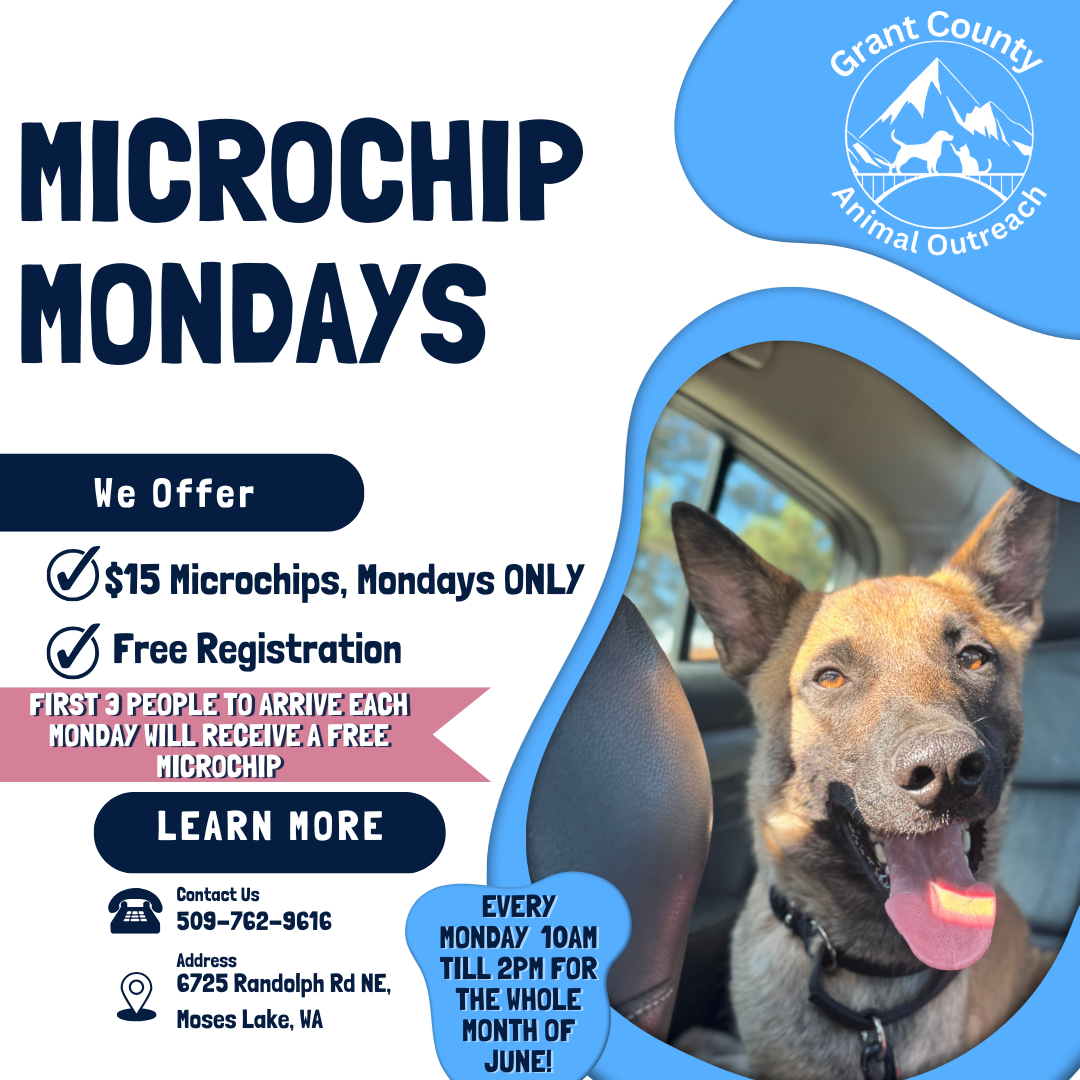 Return of Microchip Mondays