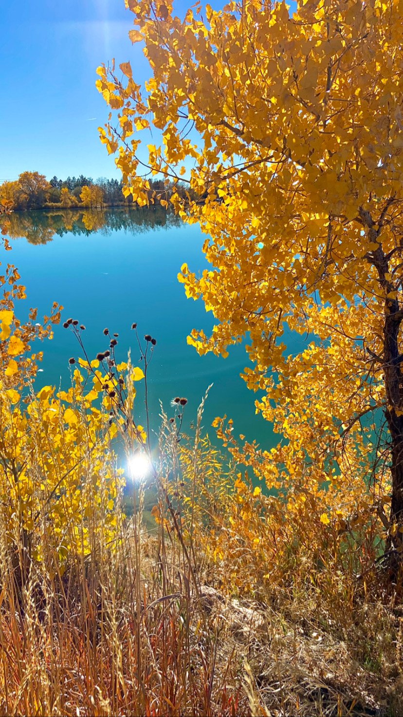 Everyday Mystical Experiences