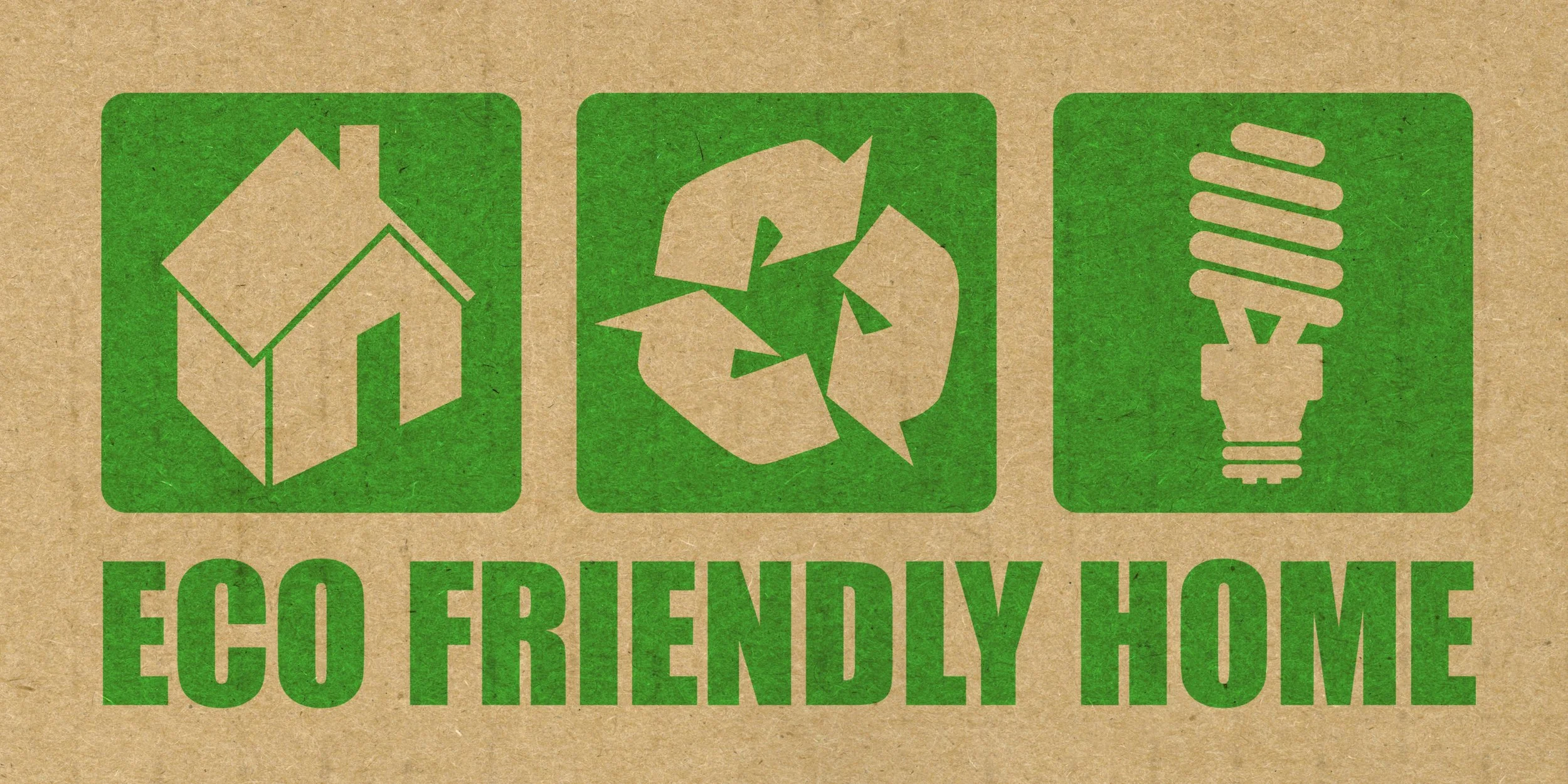 Eco Friendly Things You Can Do to Your Home — The Nash Gals Group