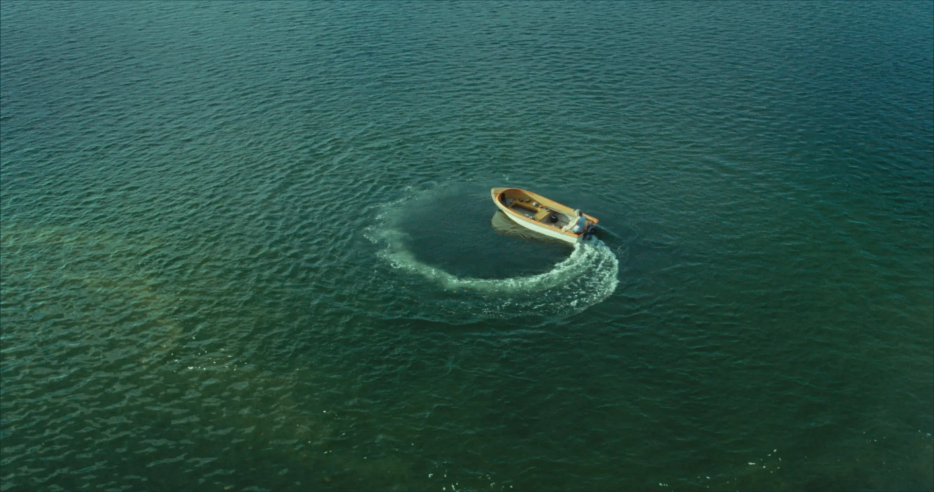 SeaSwine_MovingStills_22.jpg