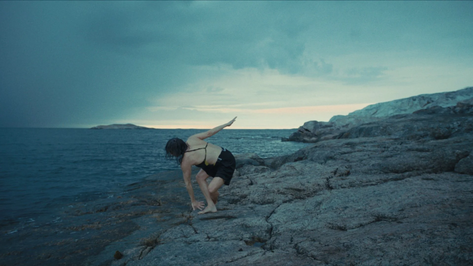SeaSwine_MovingStills_15.jpg