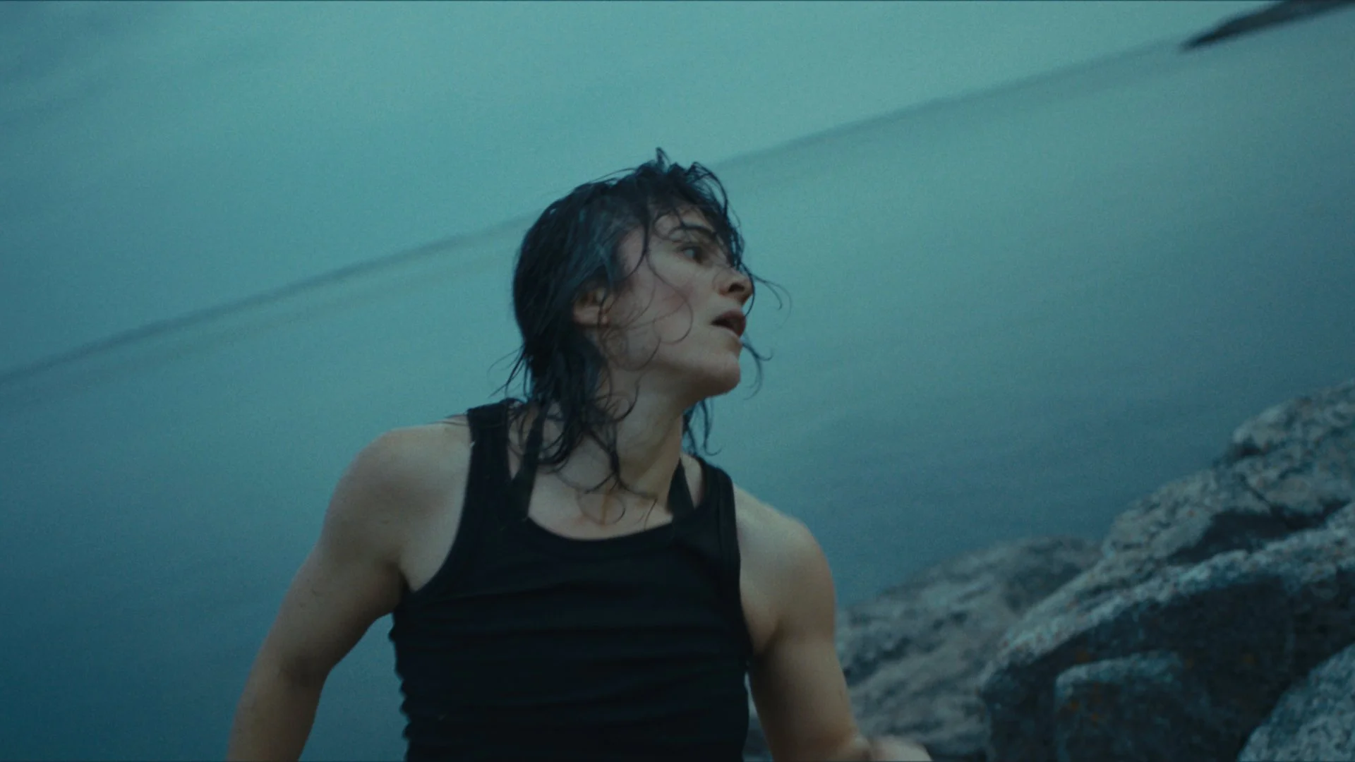 SeaSwine_MovingStills_10.jpg