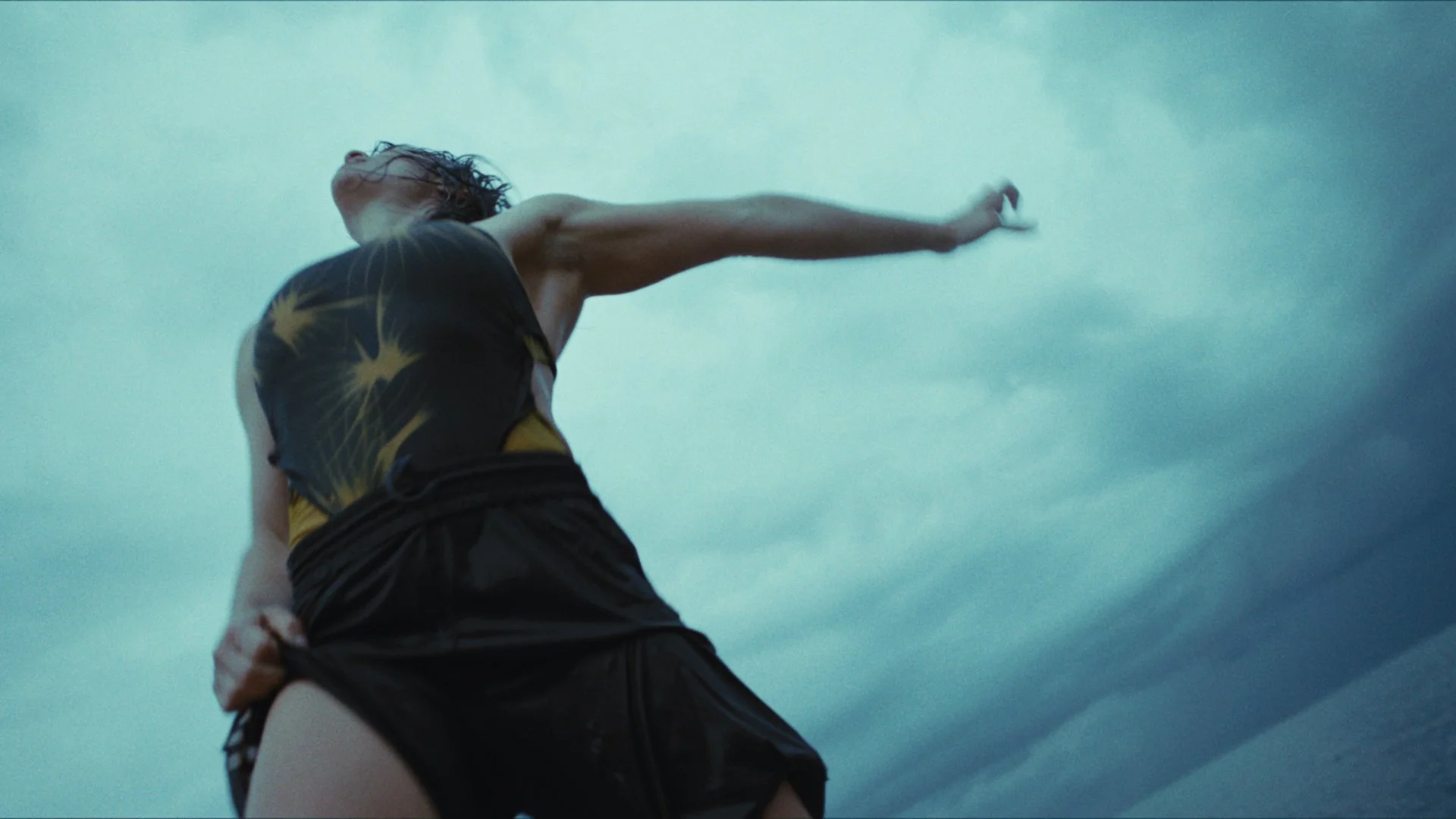 SeaSwine_MovingStills_18.jpg