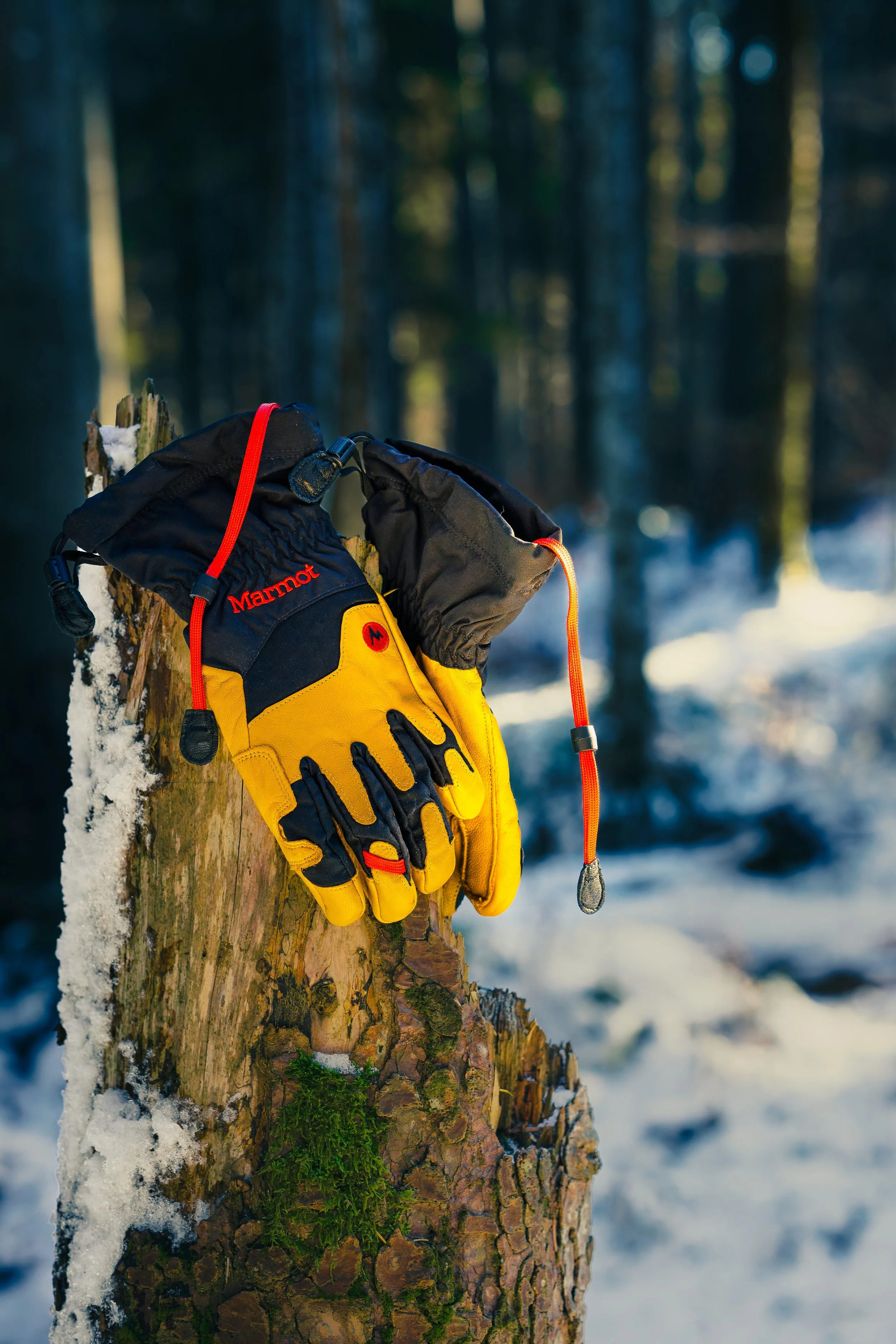 Outdoor 3.jpg