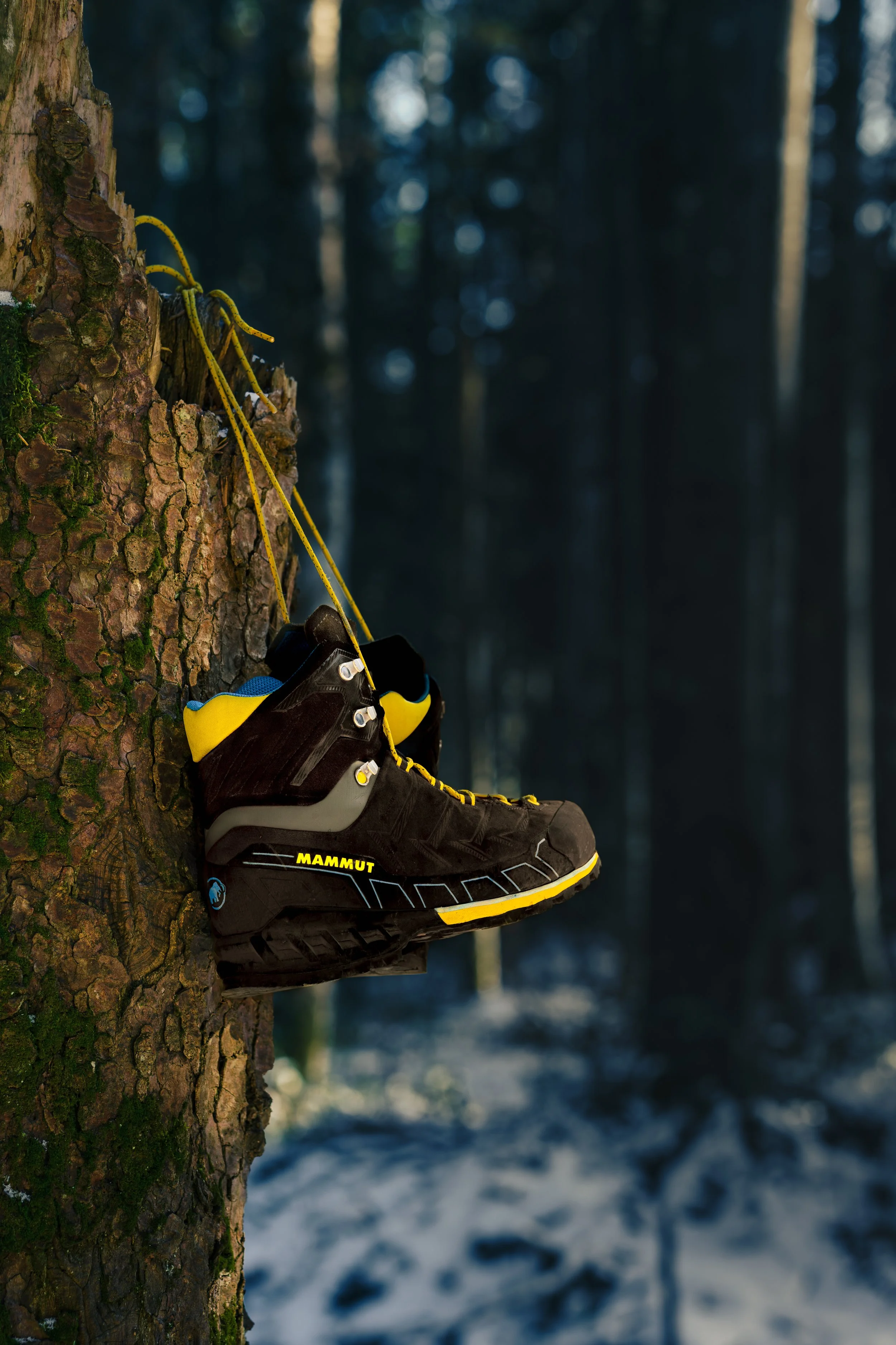 Outdoor 2.jpg