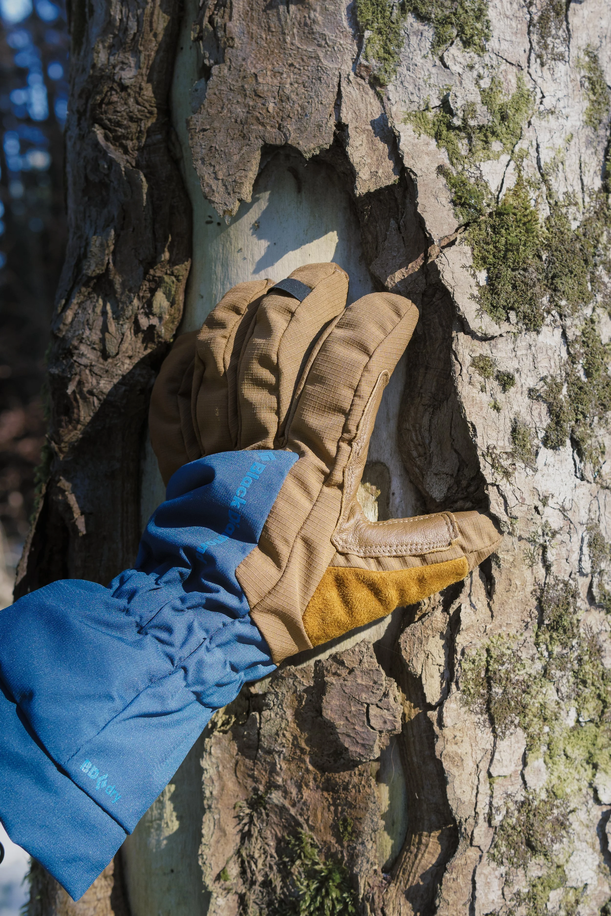 outdoor 8.jpg