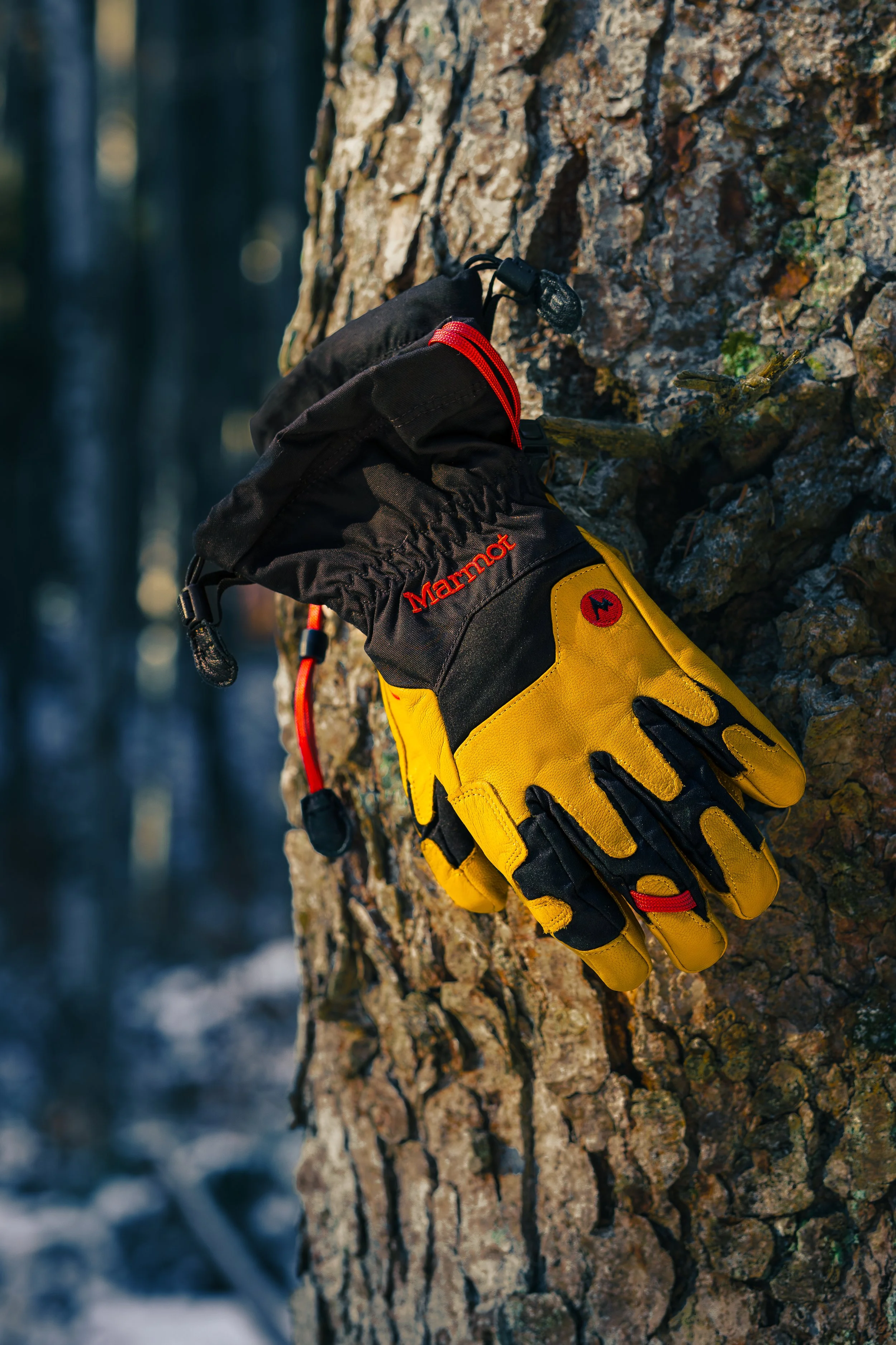 outdoor 5.jpg