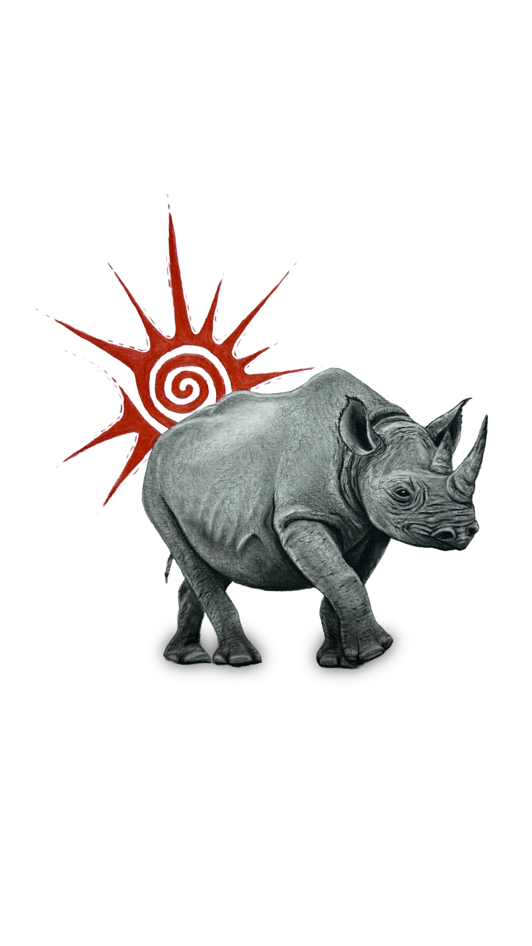 Black
Rhino Pencil Drawing
