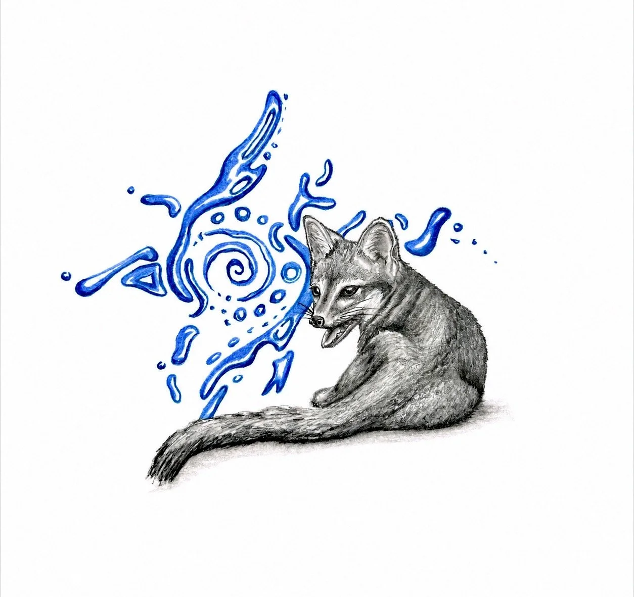 Fox Drawing.jpeg
