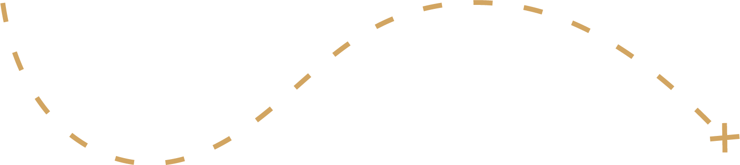 A Lit Path Co. branding asset of a gold dashed path with an X marking the end.