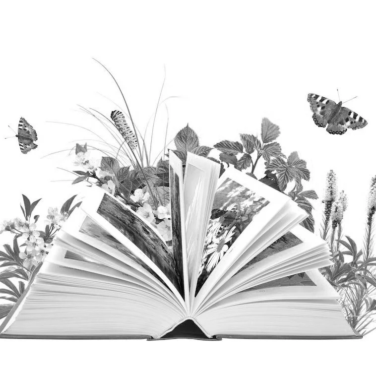Square+-+Book+with+Flowers+Butterflies.jpg