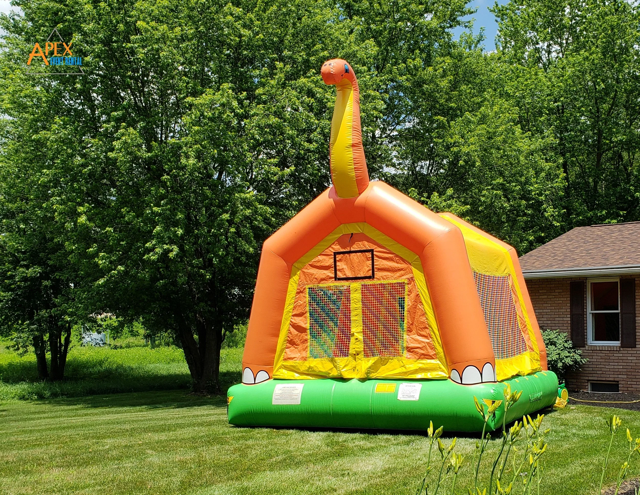 Inflatables — Apex Event Rental