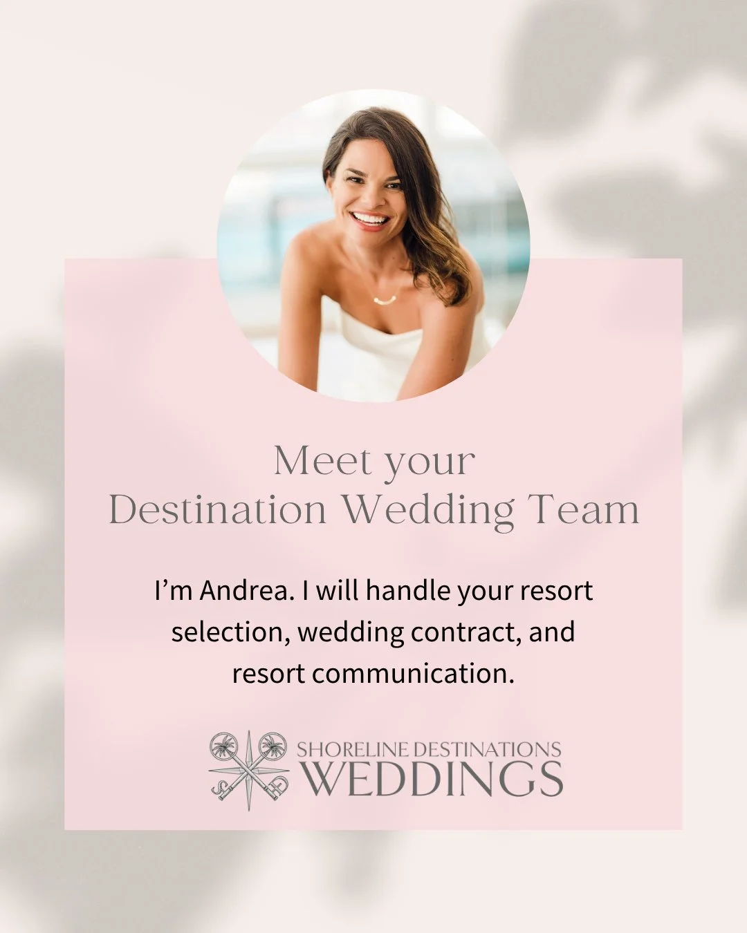 🌴Meet the team behind your destination wedding!⁠🌴⁠
⁠
Andrea &ndash; President and Destination Weddings Expert⁠
Andrea will handle your resort selection, wedding contract, and resort communication.⁠
⁠
Meredith, Sharon, and Jess - Weddings Coordinato