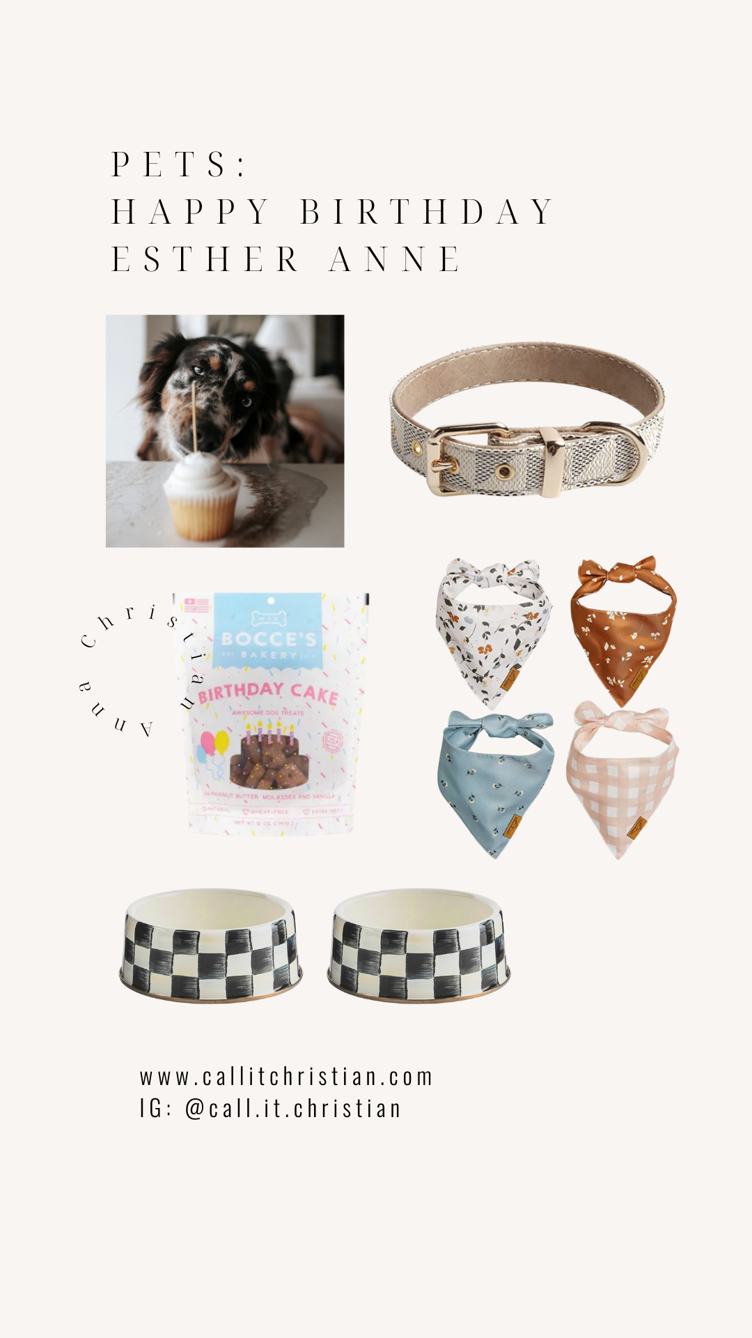 Puppy Party, dog party, dog first birthday, dog accessories, australian shepherd, aussie