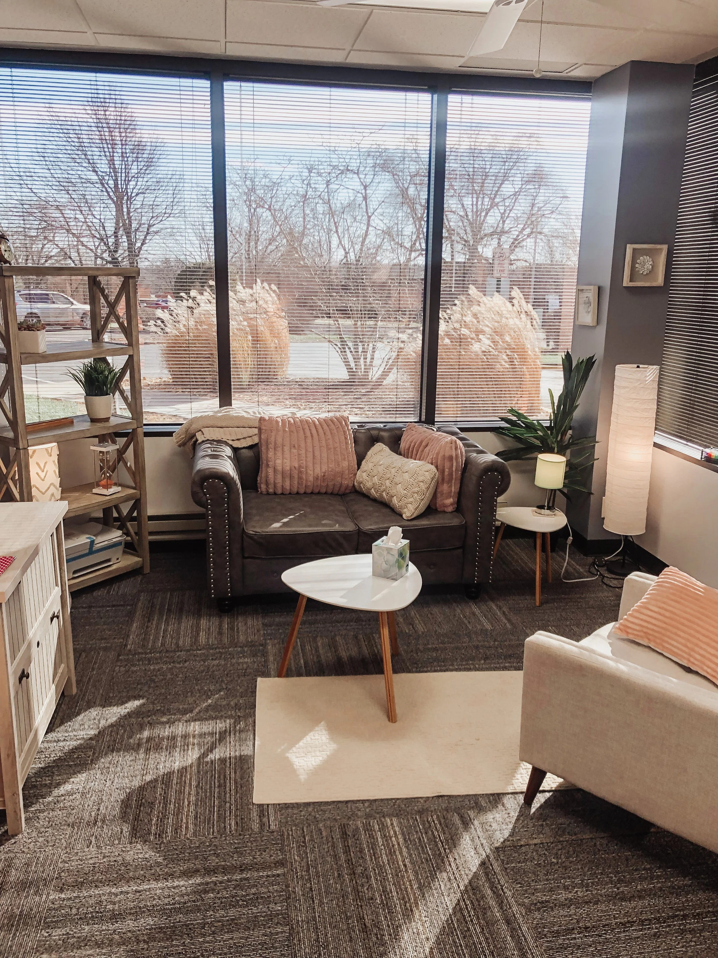 A cozy office or waiting room with a large window showing leafless trees and a parking lot outside. The room has a brown leather sofa with pink and beige pillows, a white side table with a tissue box, a tall floor lamp, some framed pictures on the wall, and a shelf with potted plants. There is a white chair partially visible in the foreground.