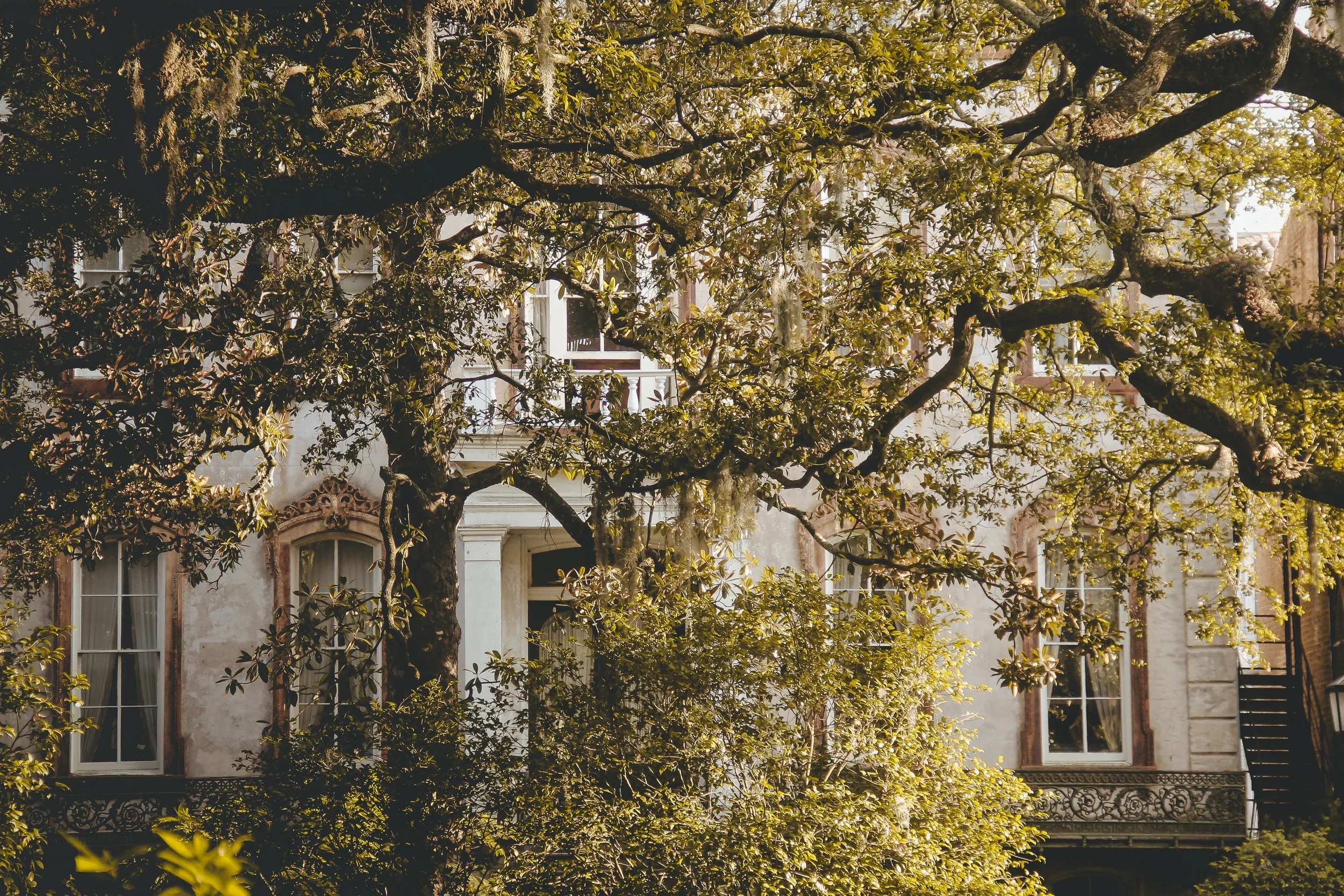 Savannah, Georgia-4.jpg