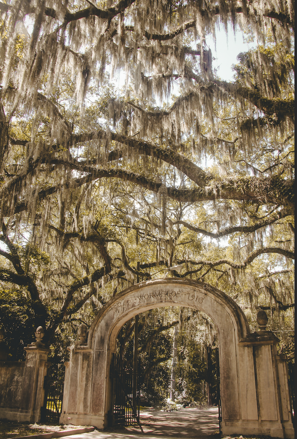 Screen Shot 2023-01-04 at 8.40.23 PM.png