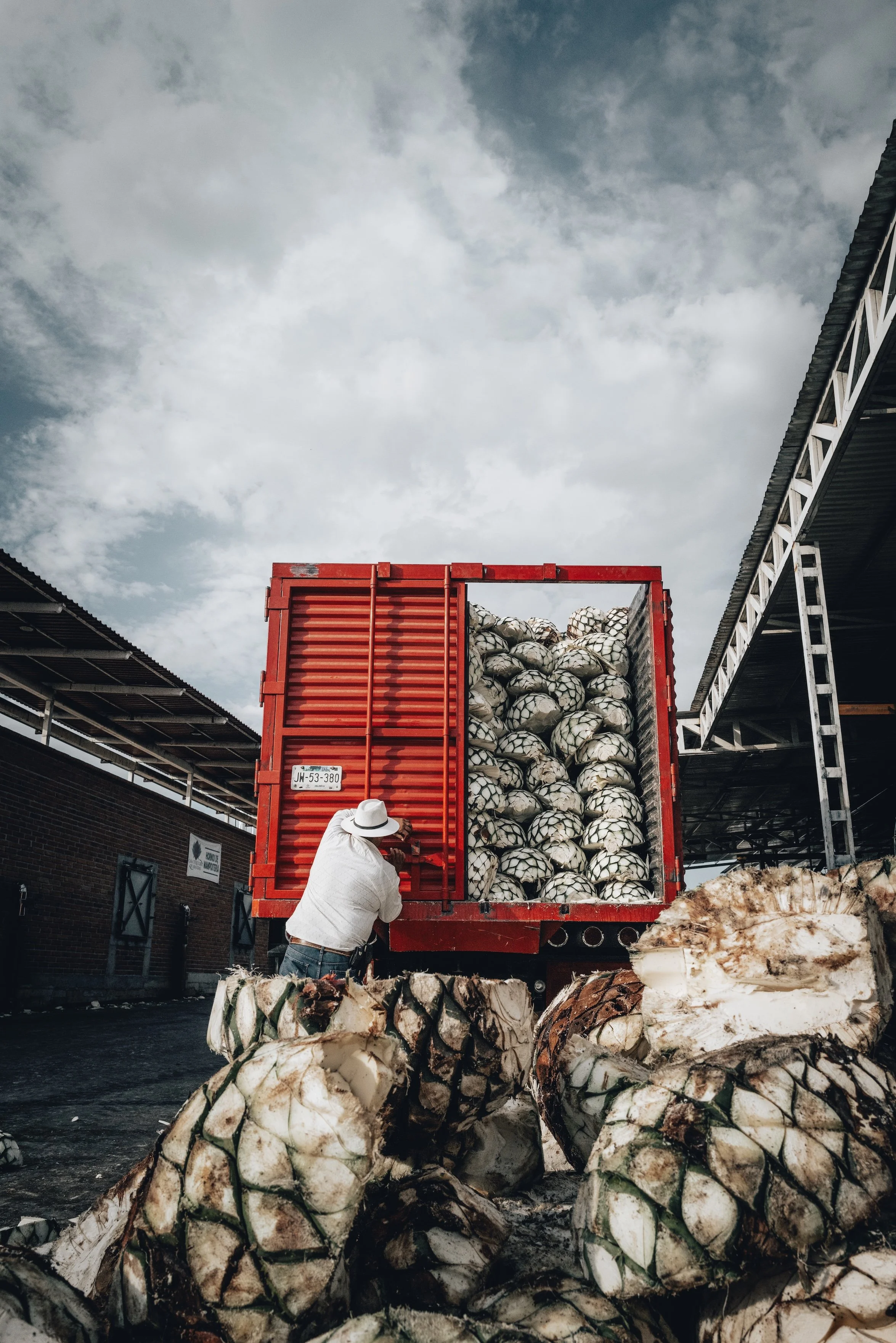 A person in a white shirt and white hat loading or unloading a red truck filled with spiny pineapples at a marketplace or farm.