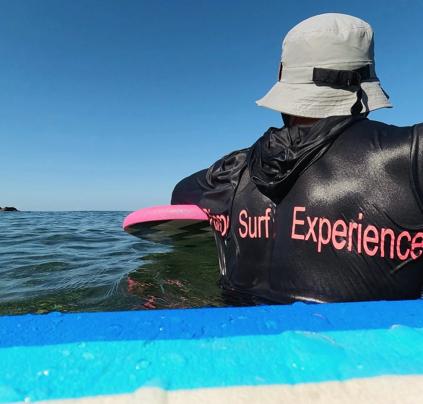 🇵🇷🌴🌴🌴🐳🌎🪼☀️