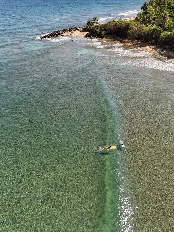 😮🙏🏽🇵🇷🐳☀️🪸🌴🌴🌴 #bendecidos #paraiso #nomascemento #paseoresponsable @raulvalentinmalave 📸 #rinconsurfexperience