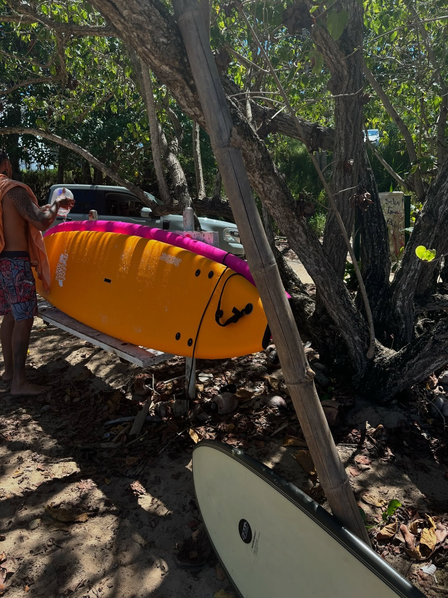 🇵🇷🐳🪼🌎🙏🏽🪸🌊 #colombia #bogota #puertorico🇵🇷 #rinconpuertorico