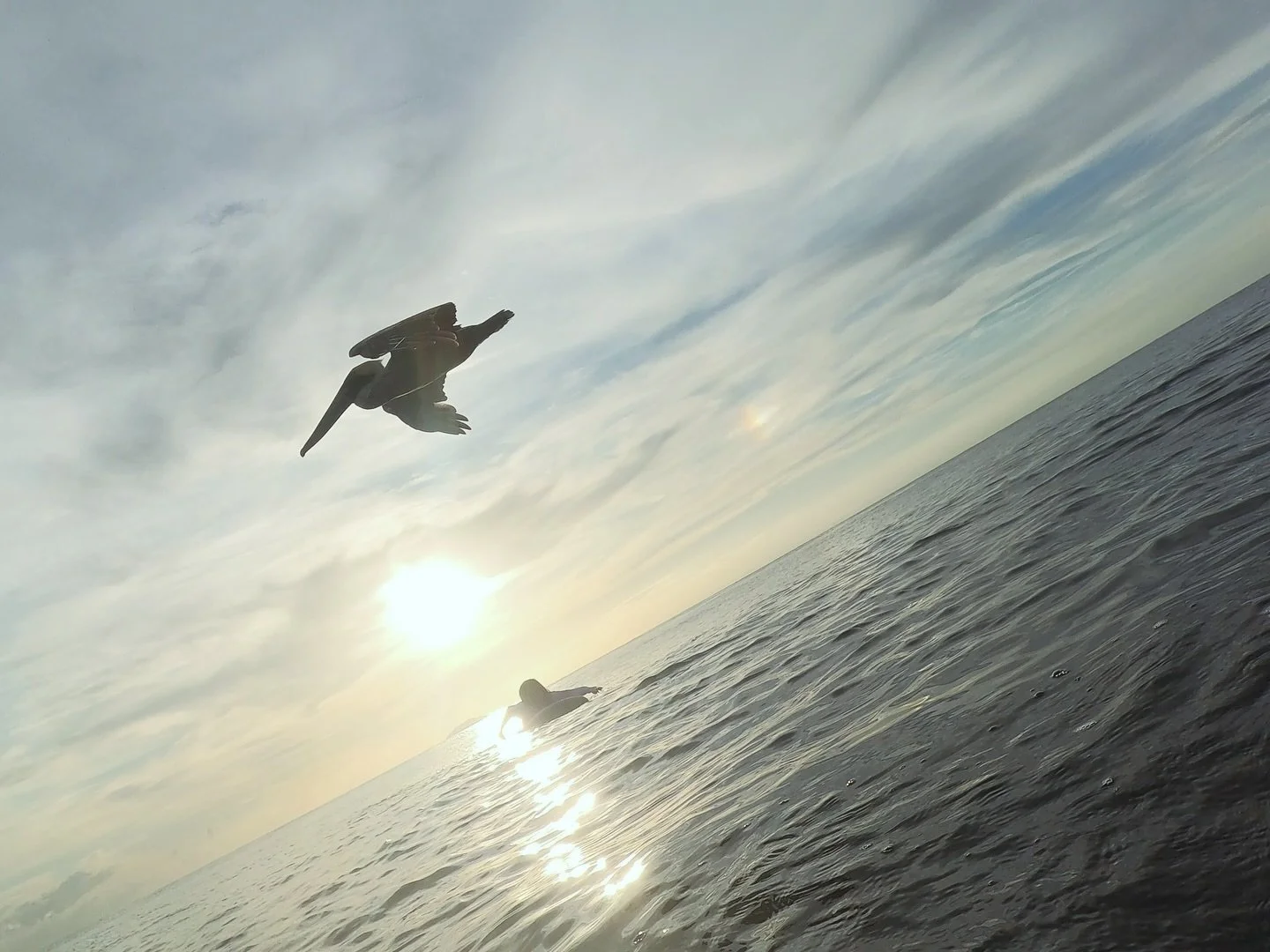 🇵🇷🙏🏽🌴🌴🌴☀️🐠🏄 @tatyy.k 🌊#sunsetsurflesson #rinconsurfexperience