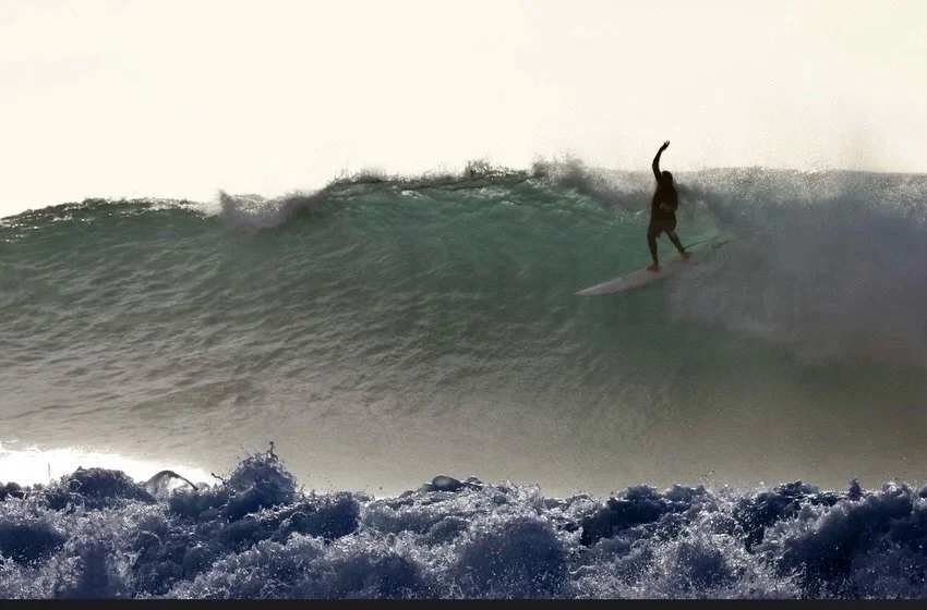 #2026 Agradecido🇵🇷🐳💙