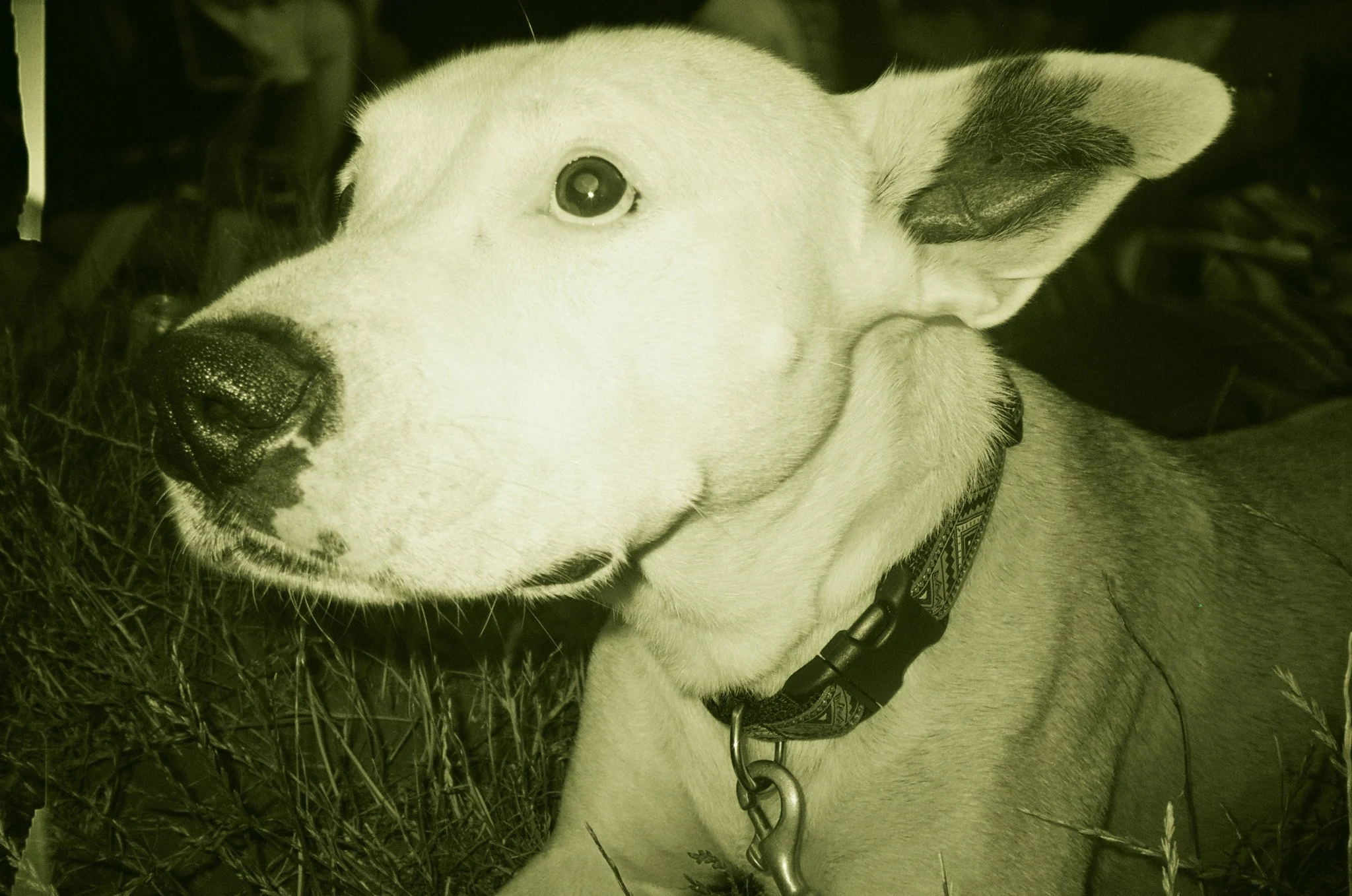 0030_8.jpg