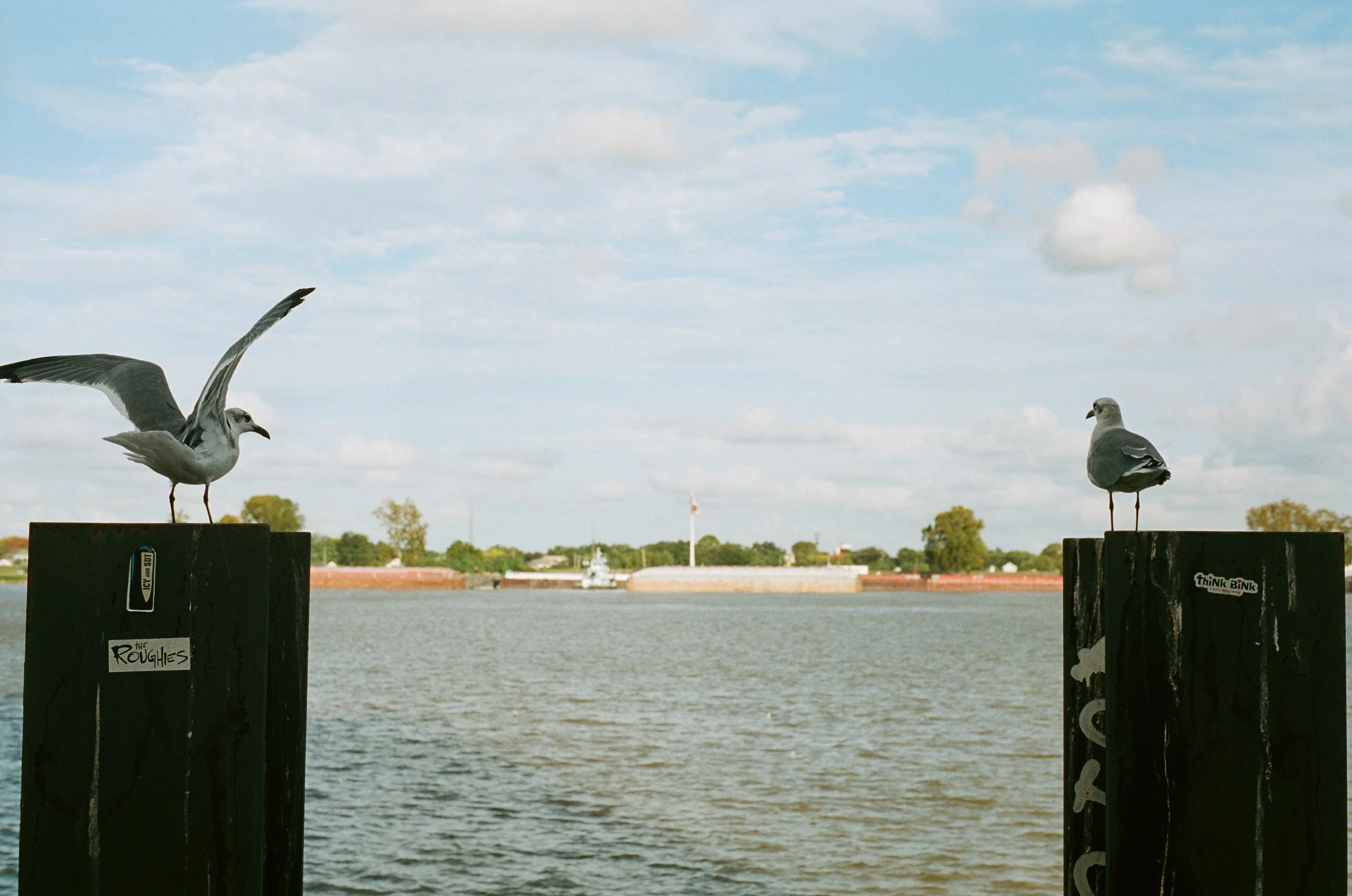 0009_29.jpg