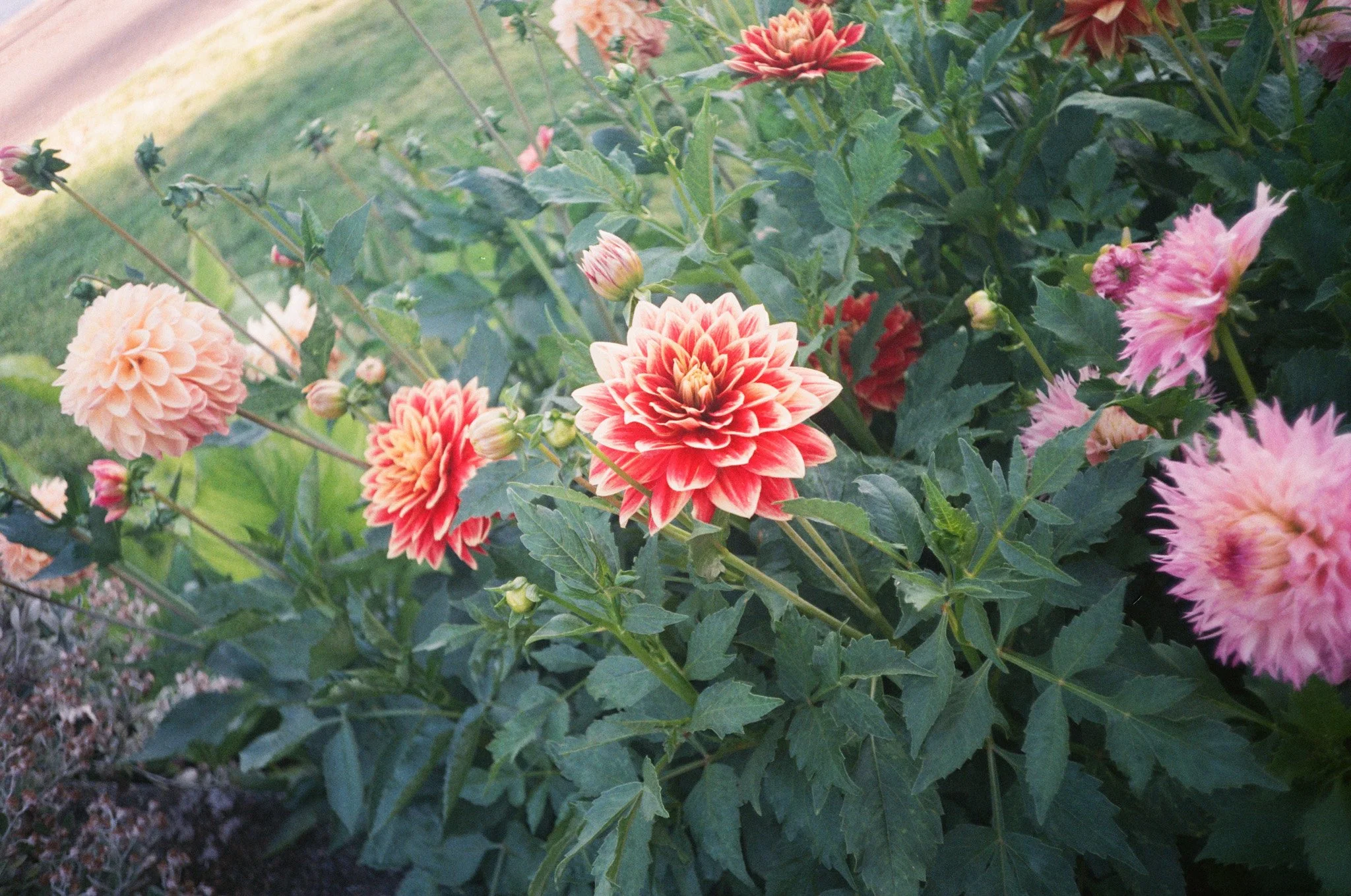 0033_4A.jpg