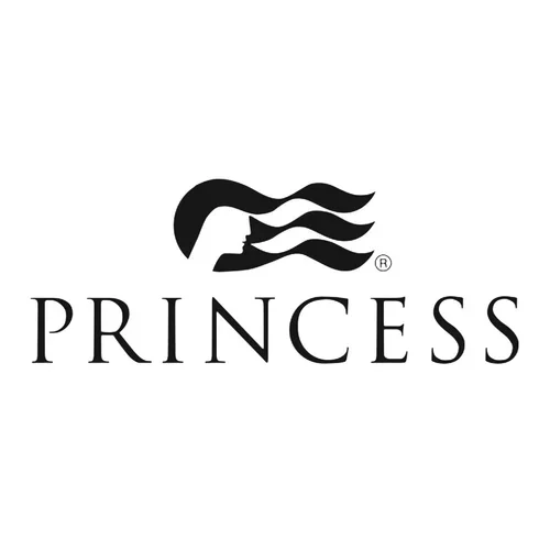 Black silhouette of a princess with flowing hair above the word 'PRINCESS' in black serif font.