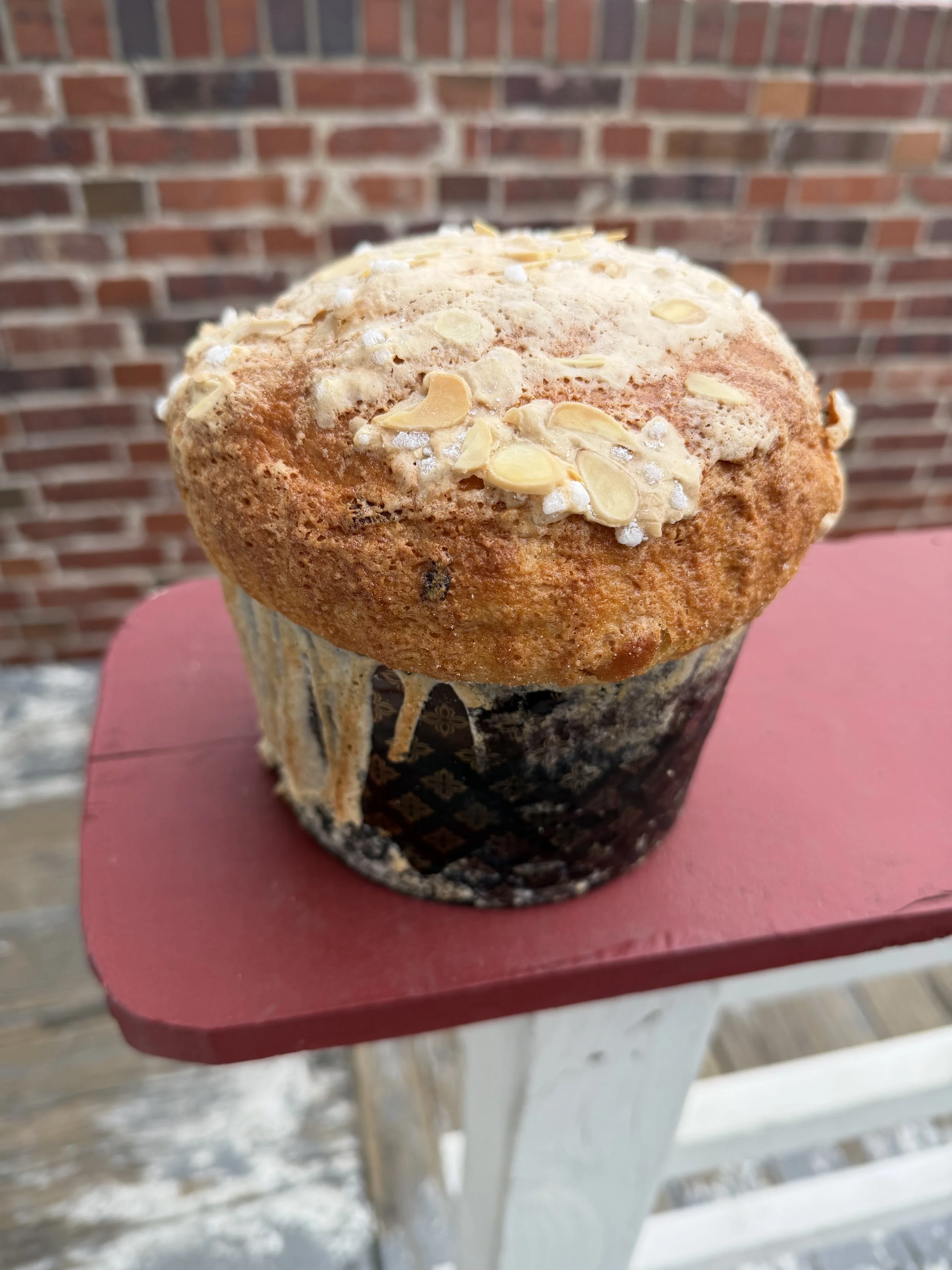 Classic Panettone