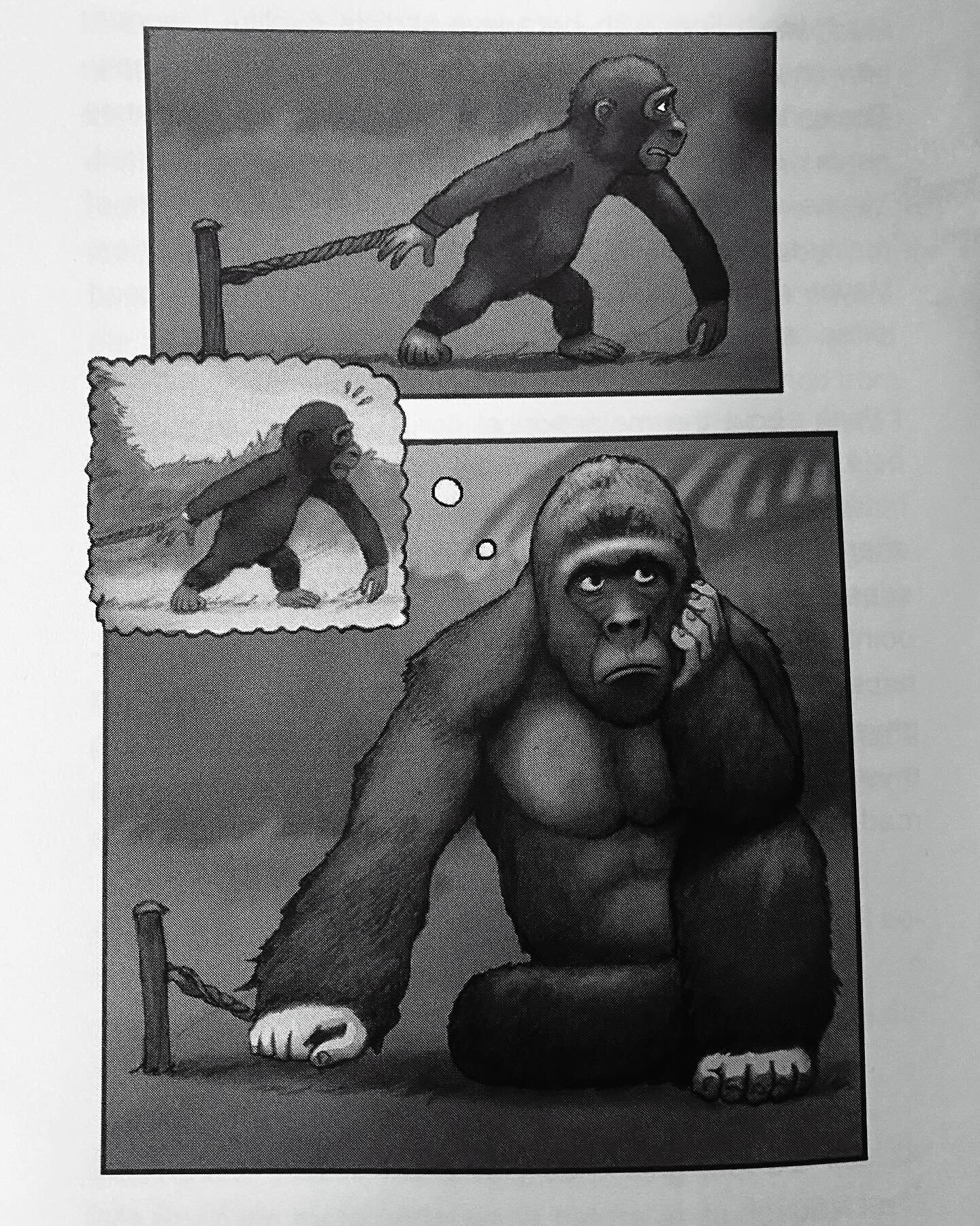 Just a little reminder of this old story about the metaphorical gorilla. There once was a baby gorilla chained to a pole by someone cruel. It was young and weak and therefore could not escape. This solidified in the child a belief of being trapped an