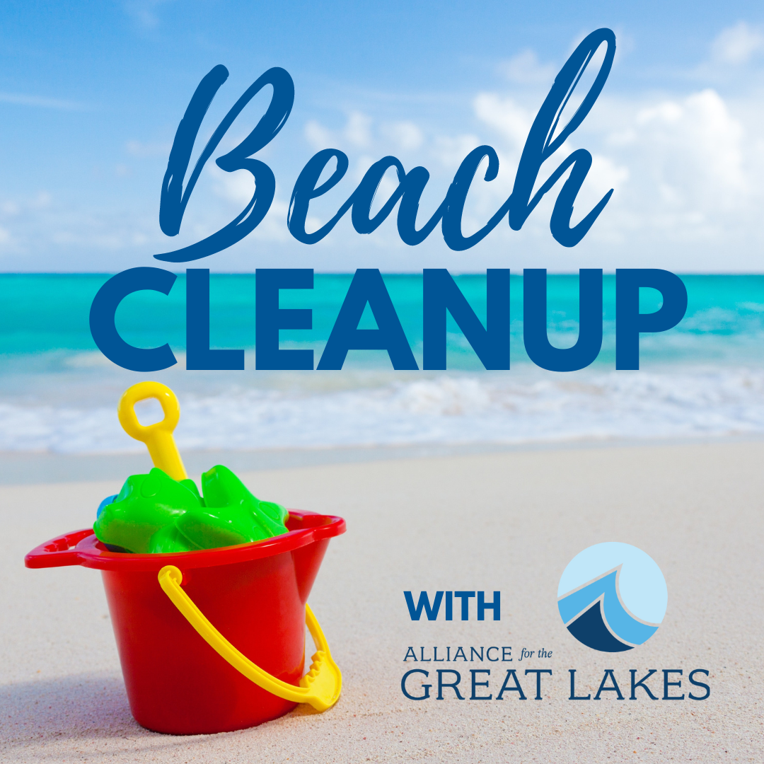 Beach Cleanup: 71st Street/South Shore Beach