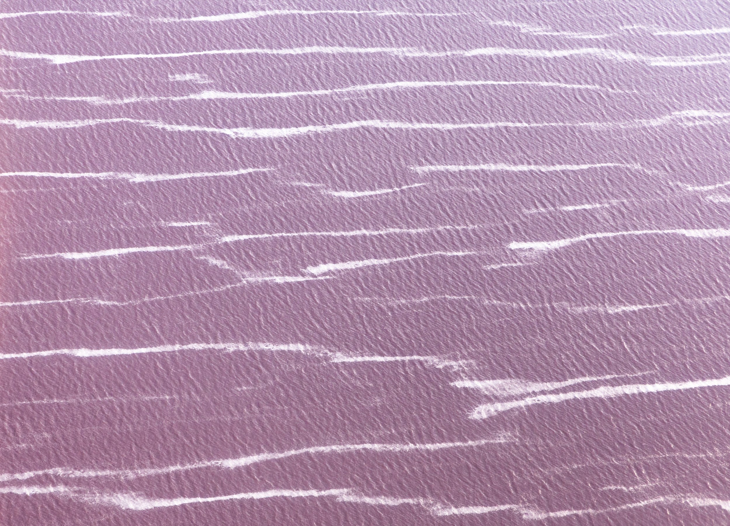  Pink water and seafoam in the hypersaline north arm of Great Salt Lake.  The water is pink because the only organisms that can survive here - extreme salt-loving microbes - are pink.  The north arm is truly a dead sea - microbialites, brine flies, b
