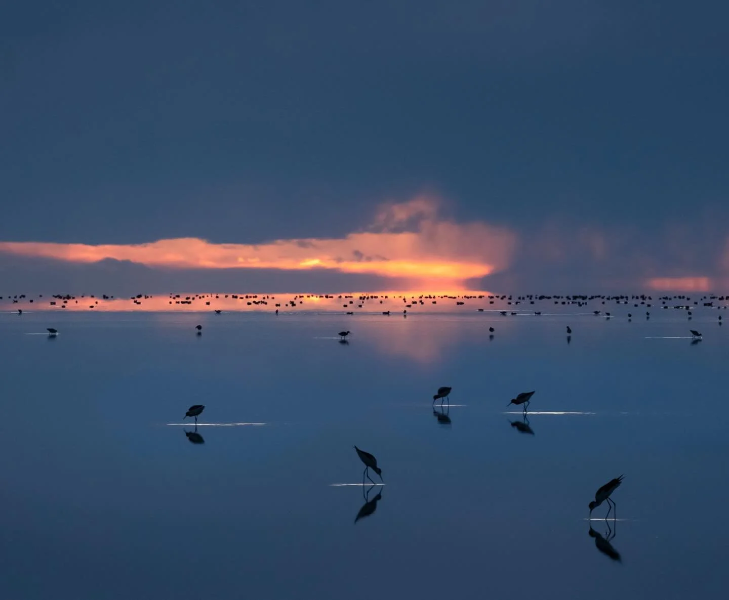 Here&rsquo;s a perspective I experimented with as often as I could in 2025. I hope we&rsquo;ll get conditions to try again in spring of 2026 🤞

PS. This is a focus stack of multiple images.