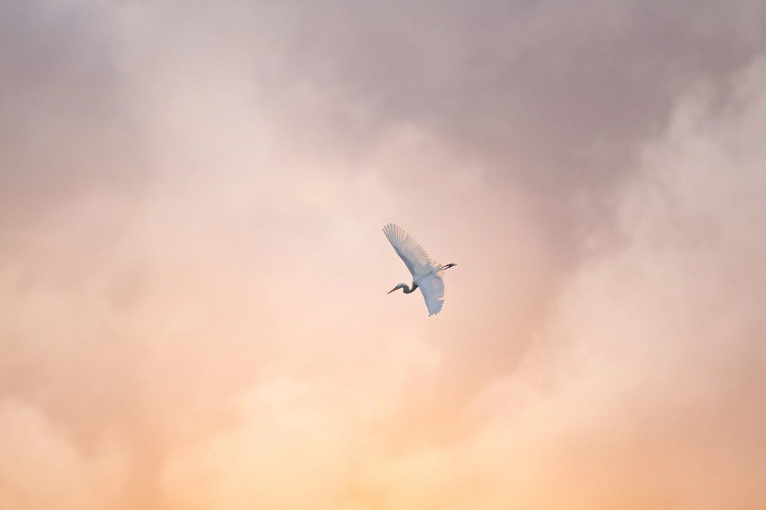 Florida workshop recap