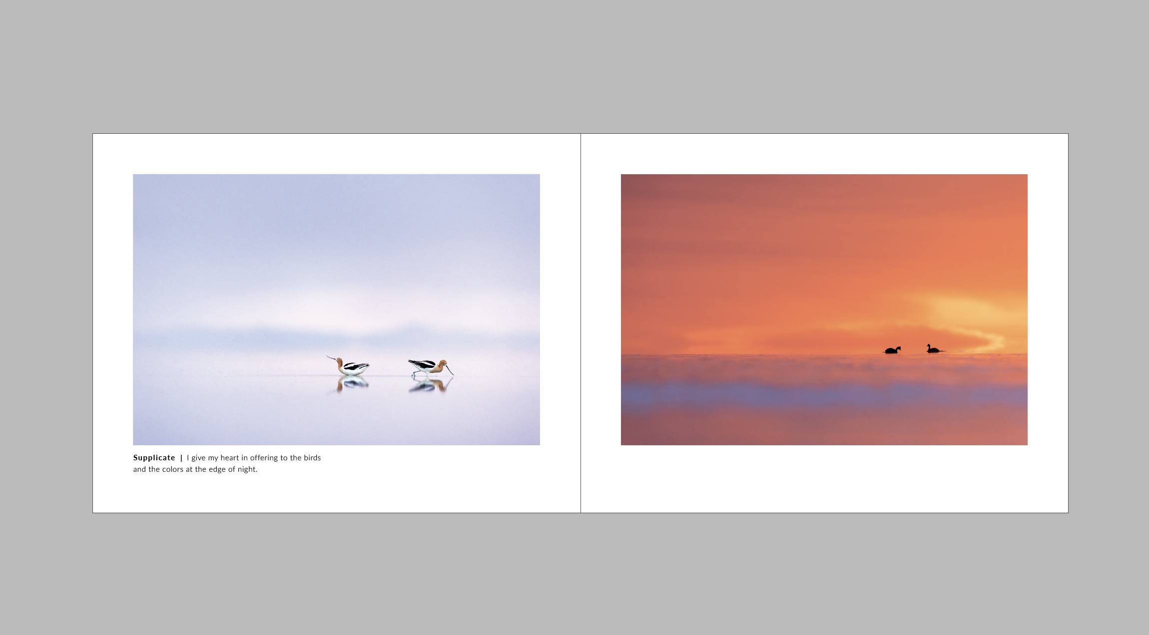 Screenshot 2026-04-06 at 9.09.38 AM.png